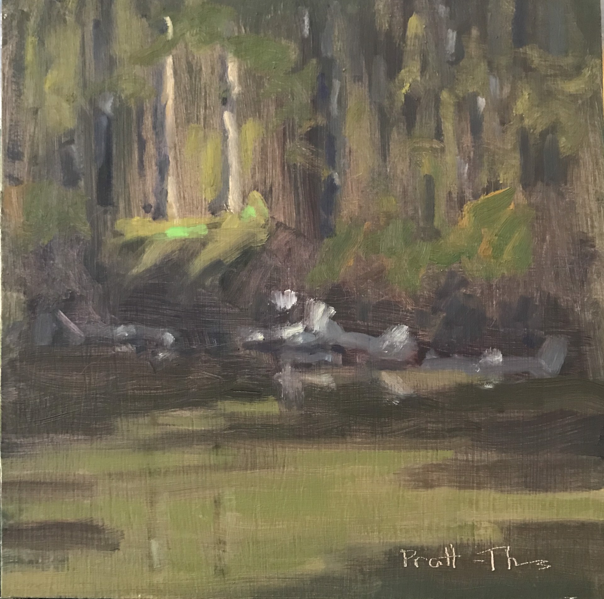 Sunlit Pines on the Bluff by Leslie Pratt-Thomas