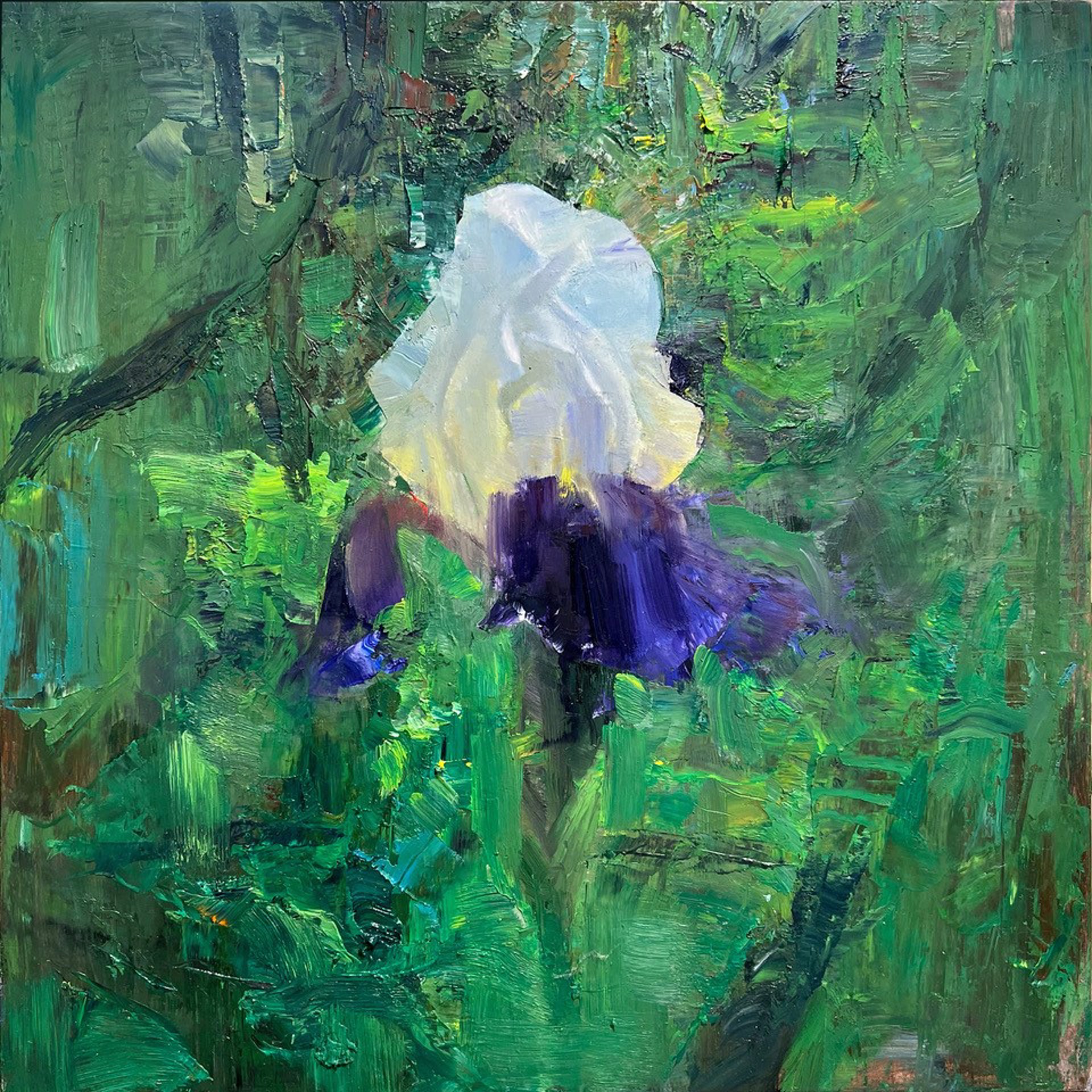Forest Iris by Scott Conary