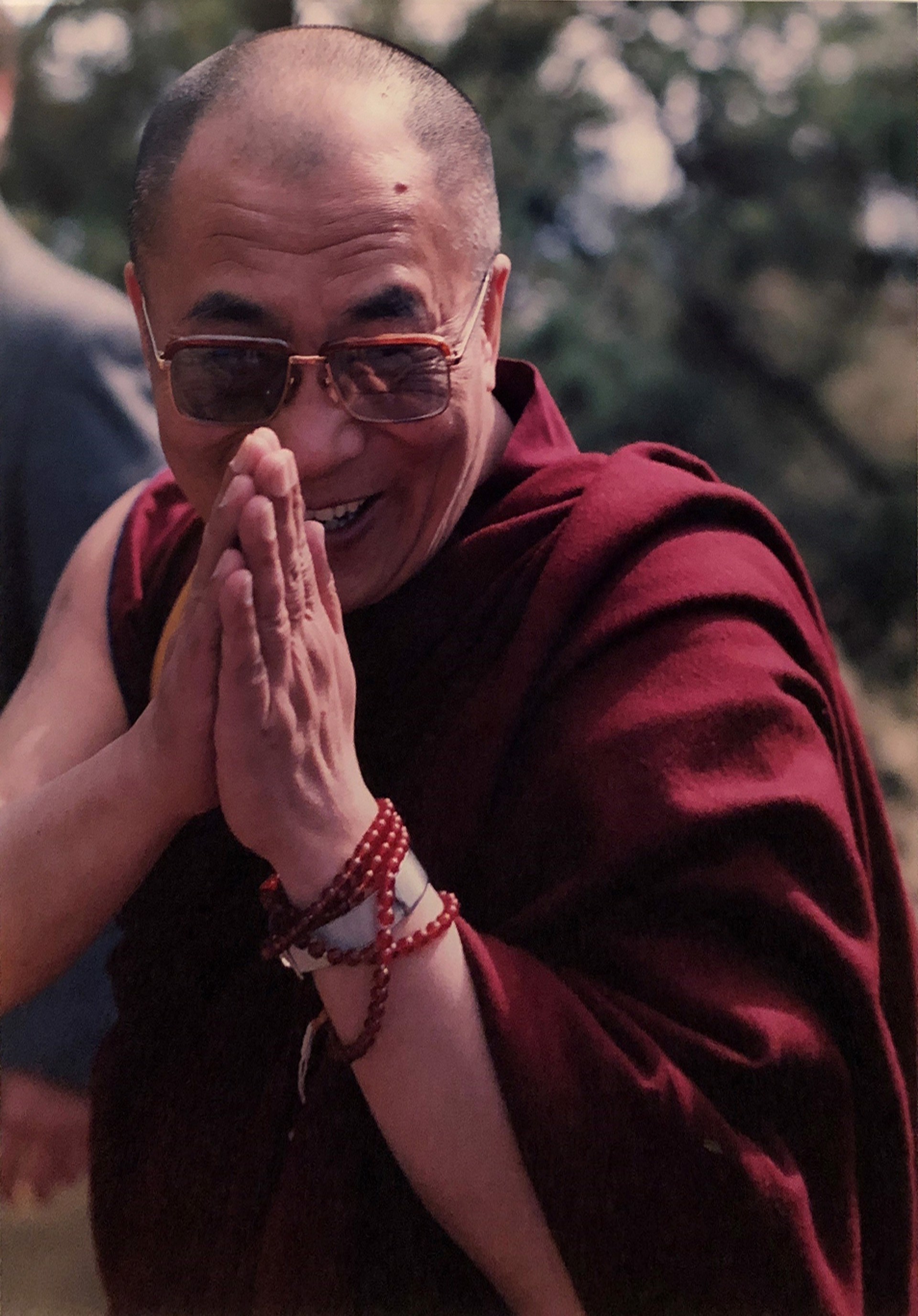 Dalai Lama by Tony Vinella