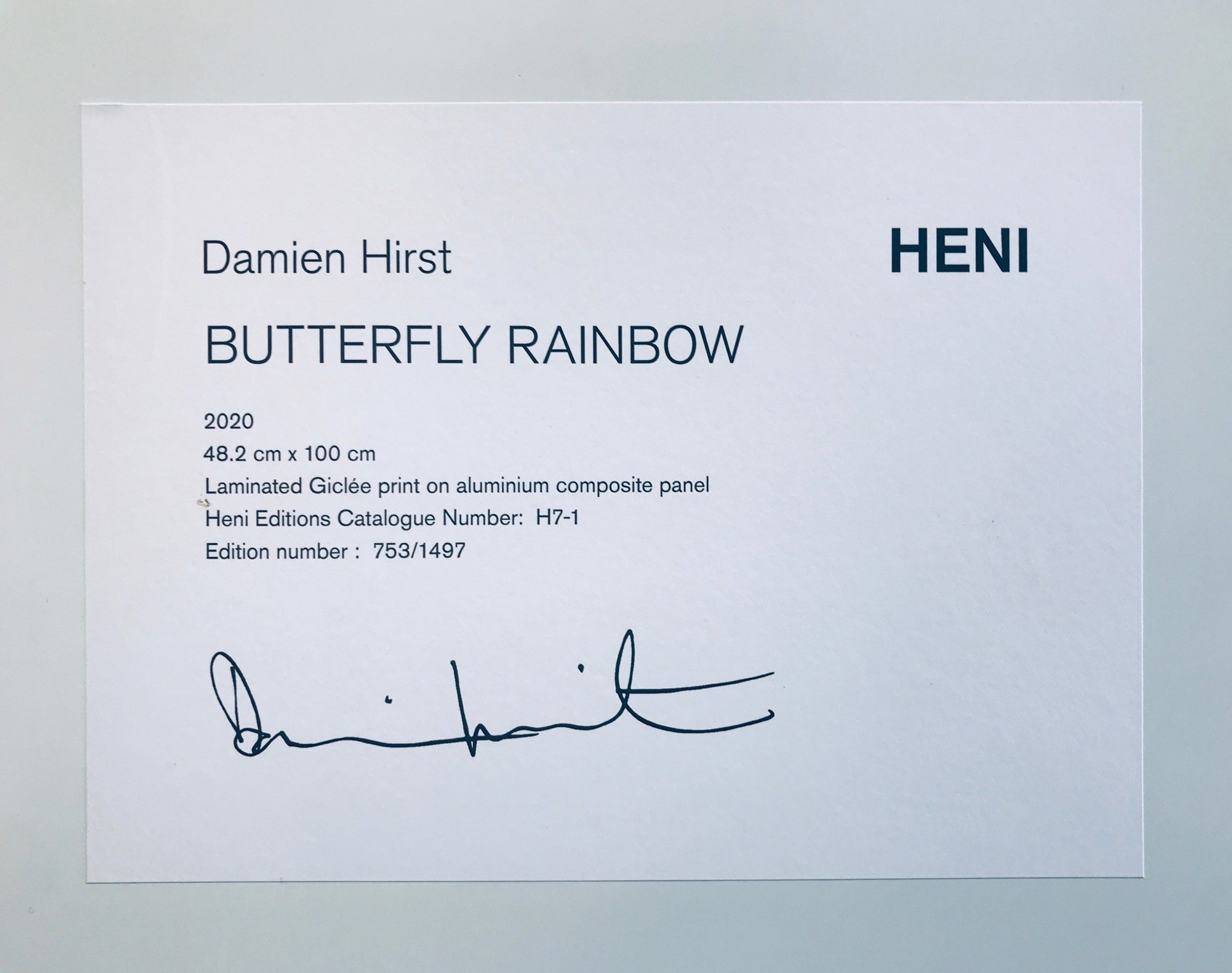 Butterfly Rainbow by Damien Hirst