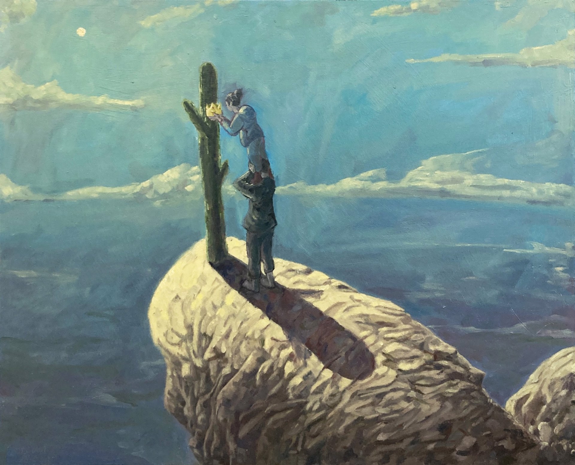 Cliff Top by Steven Allison