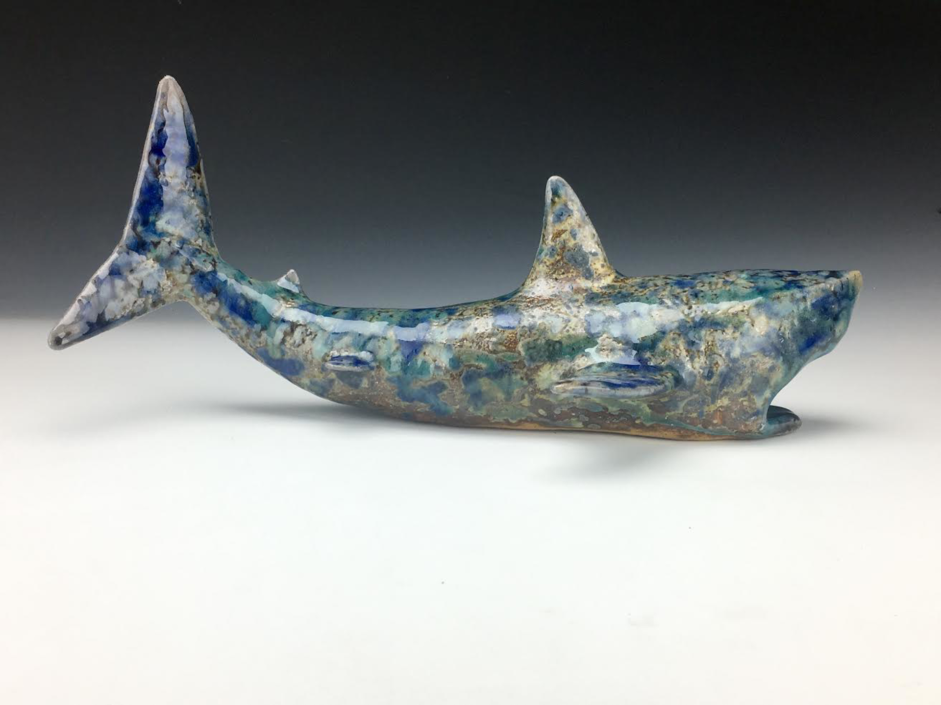 Shark by Julia Burns