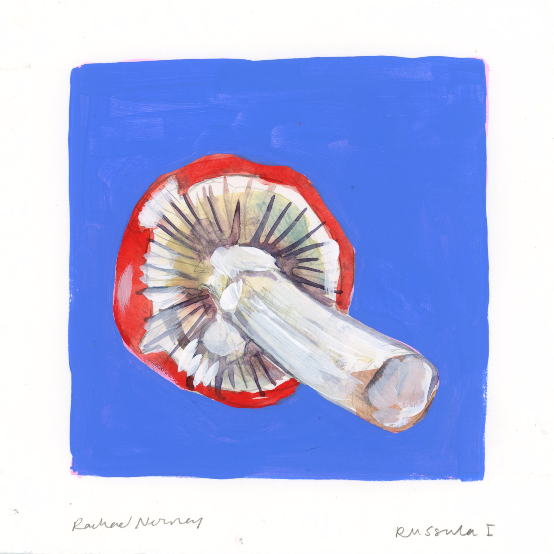 Russula Mushrooms by Rachael Nerney