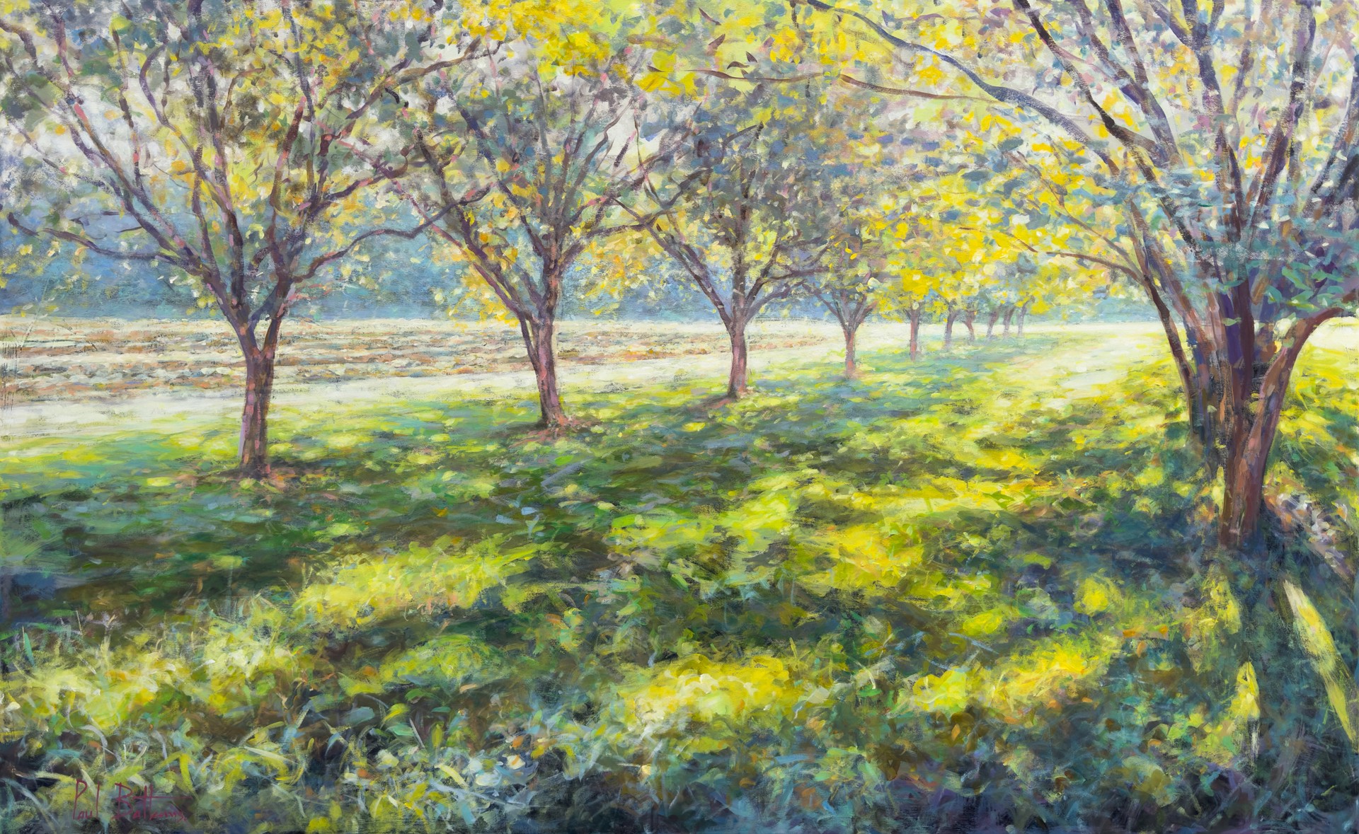 Green painting of a walnut grove with rows of trees