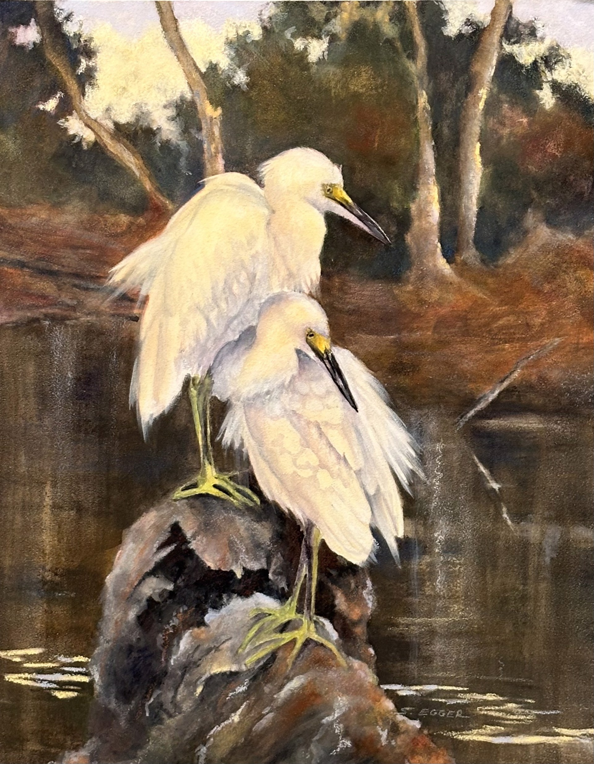 Two Snowy Egrets by Sherry Egger