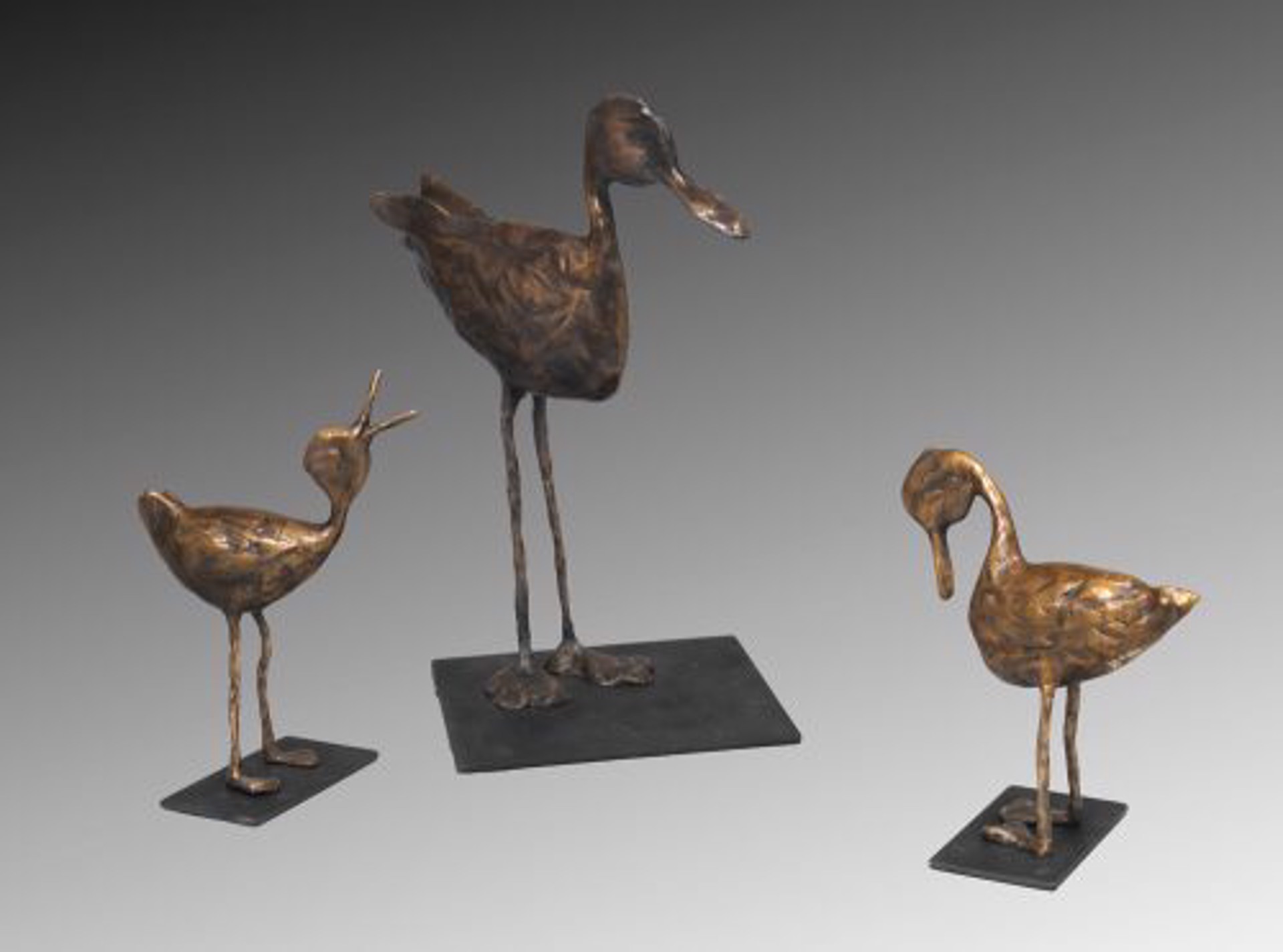 Duck Family Set of 3 by Jim Budish