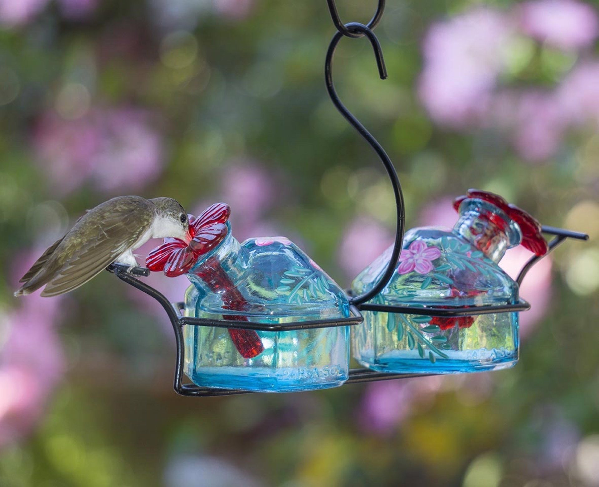 Hand Painted Lunch Pail Hummingbird Feeders by Indigo Desert Ranch - Hummingbird Feeders
