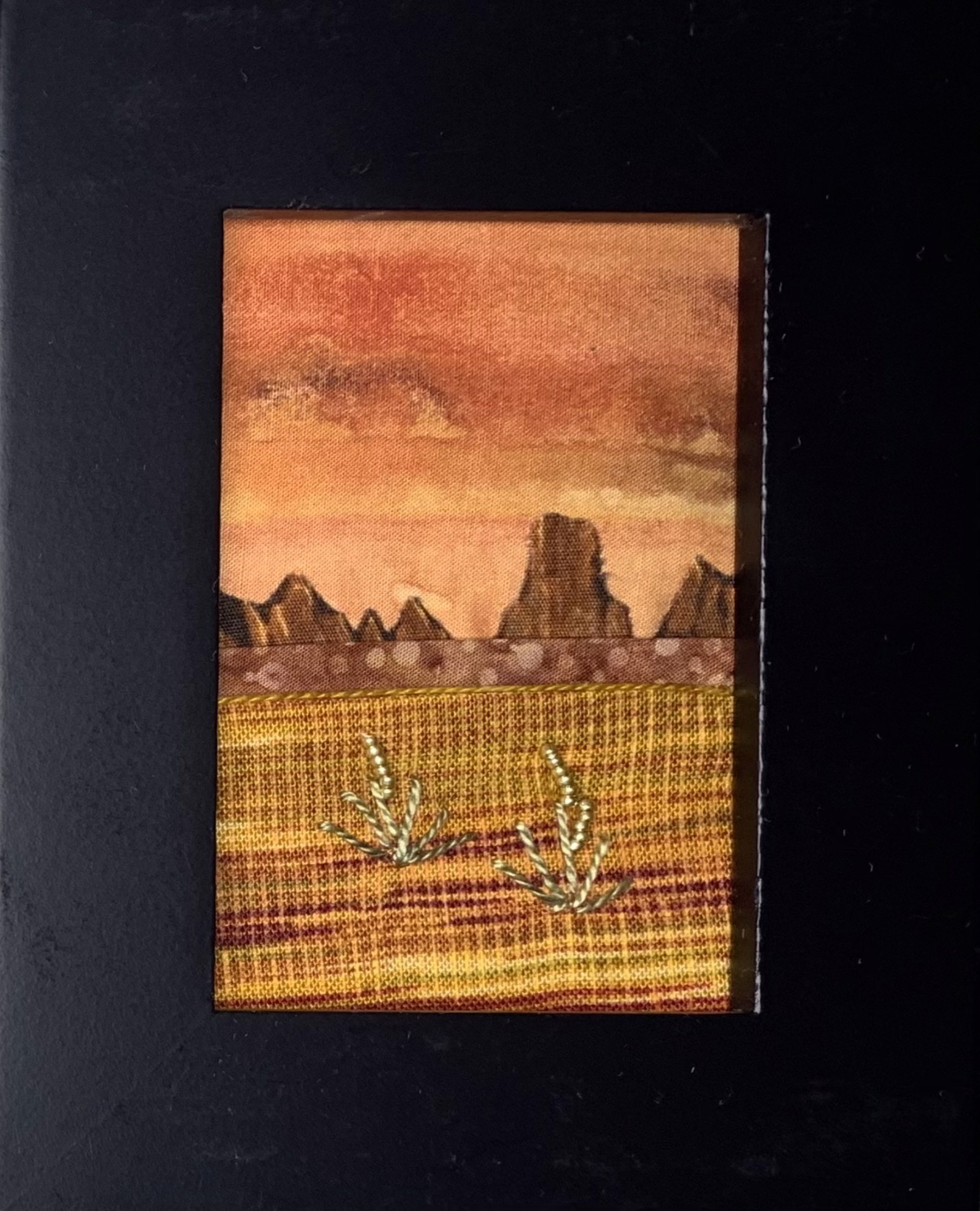 Golden Yucca Sunset by Cynthia Sequanna