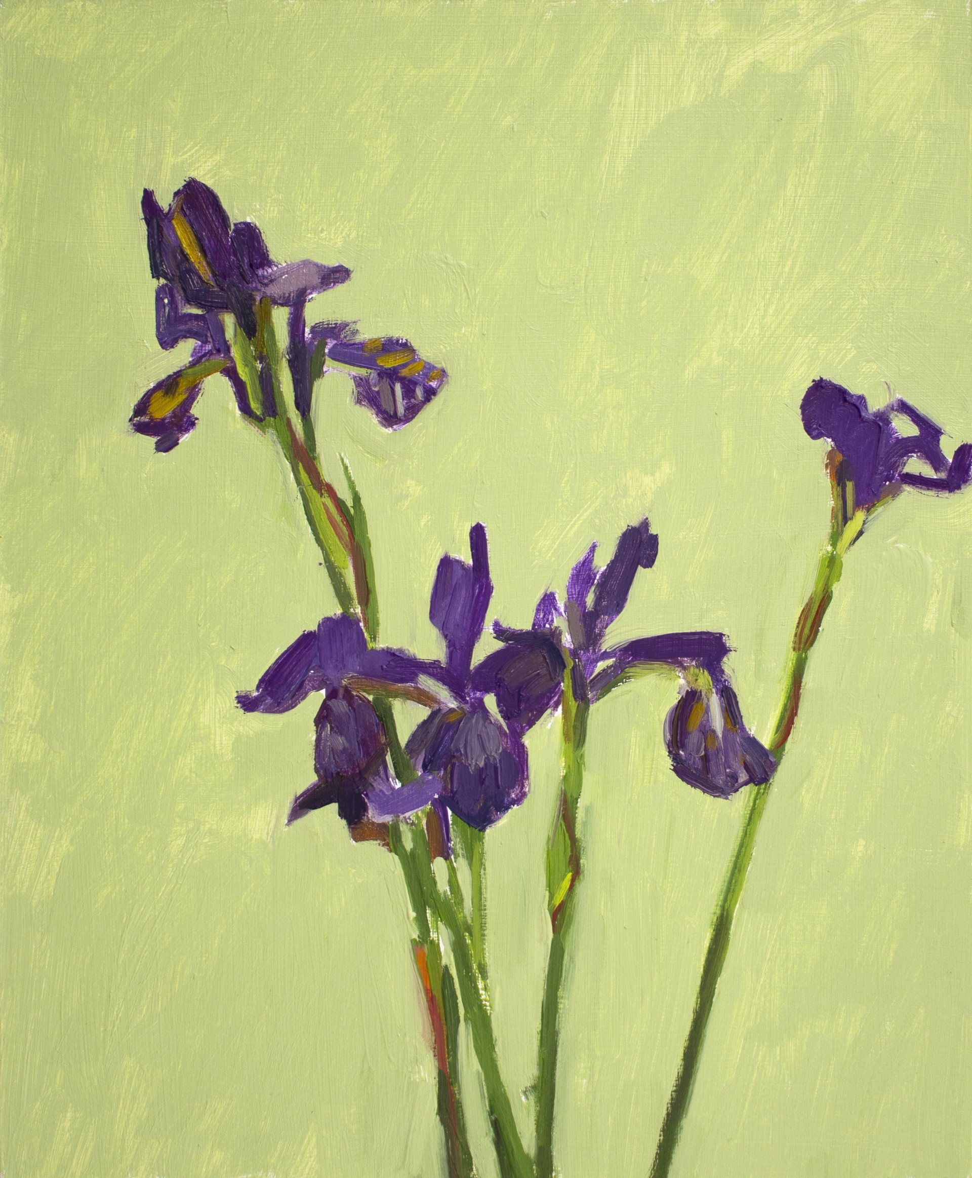 Delicate Irises by Christina Renfer Vogel