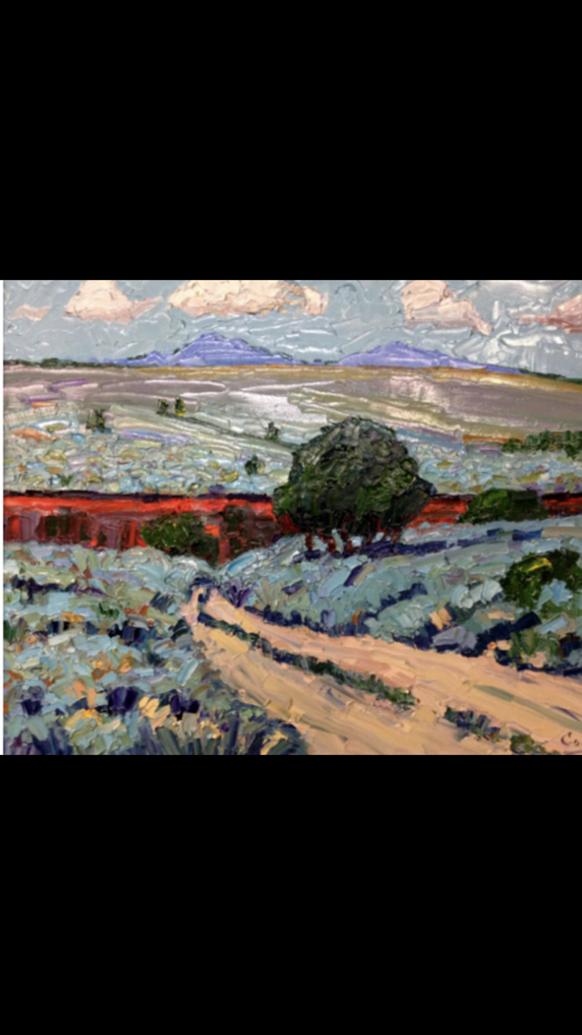 Rio Grande View from Highway by Jim Cobb