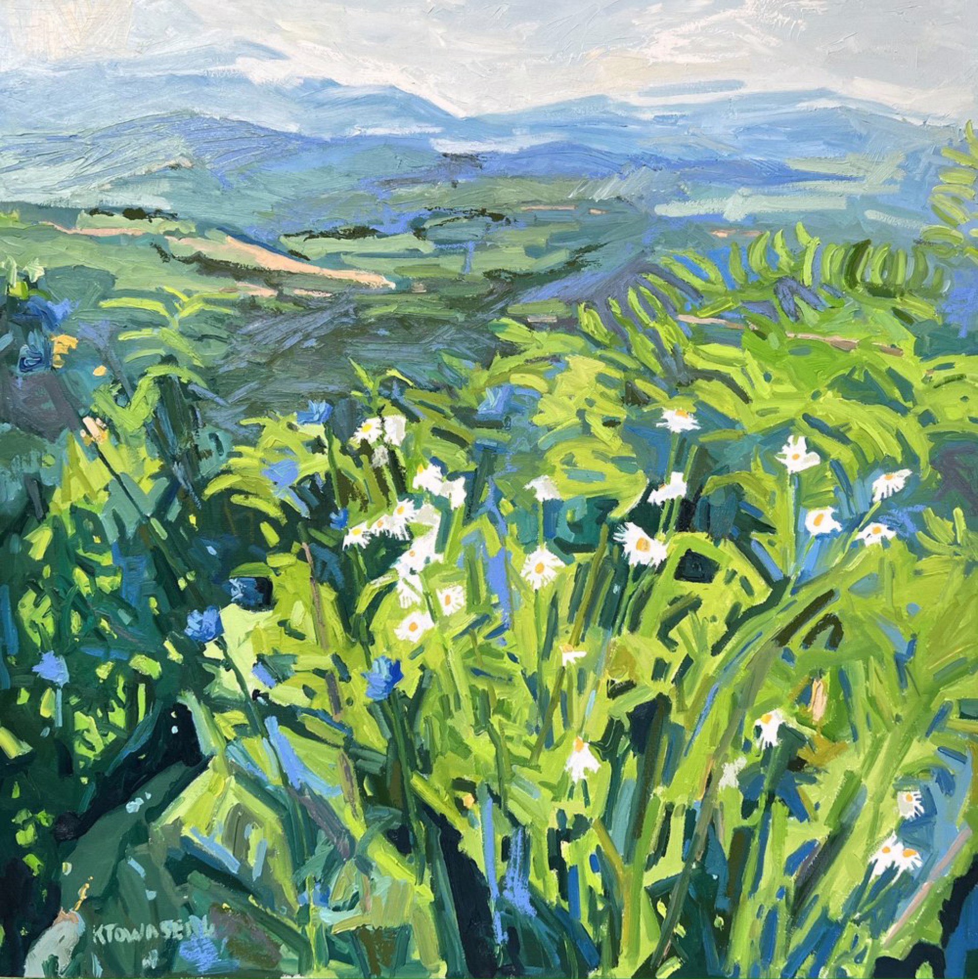 Blue Ridge Mountains Through Wildflowers by Krista Townsend