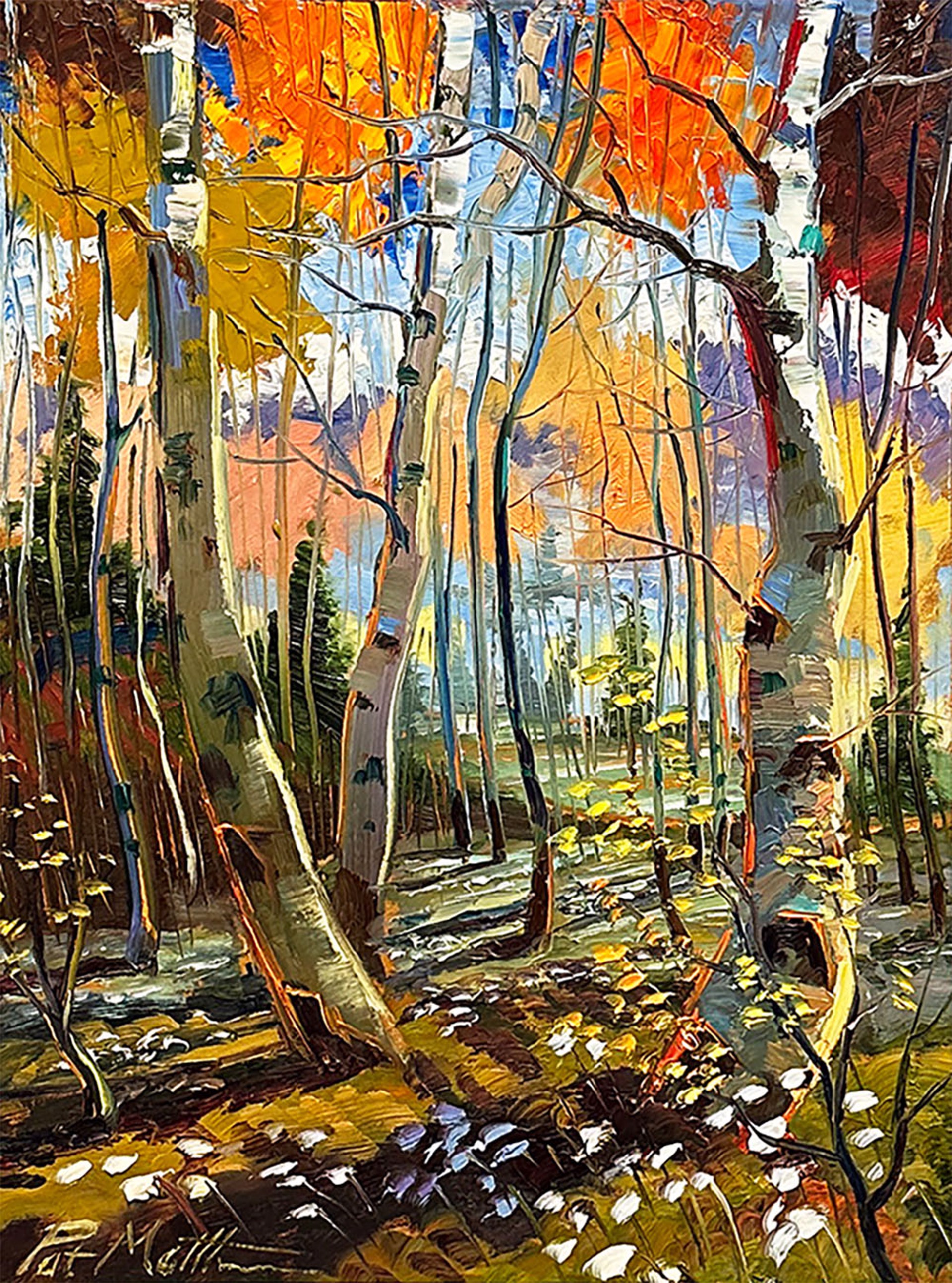 Fall Colors by Pat Matthews