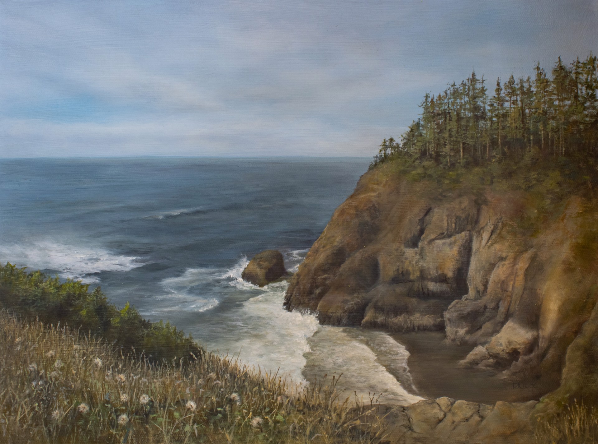 Cliffs of Long Beach by Debbie Kluge