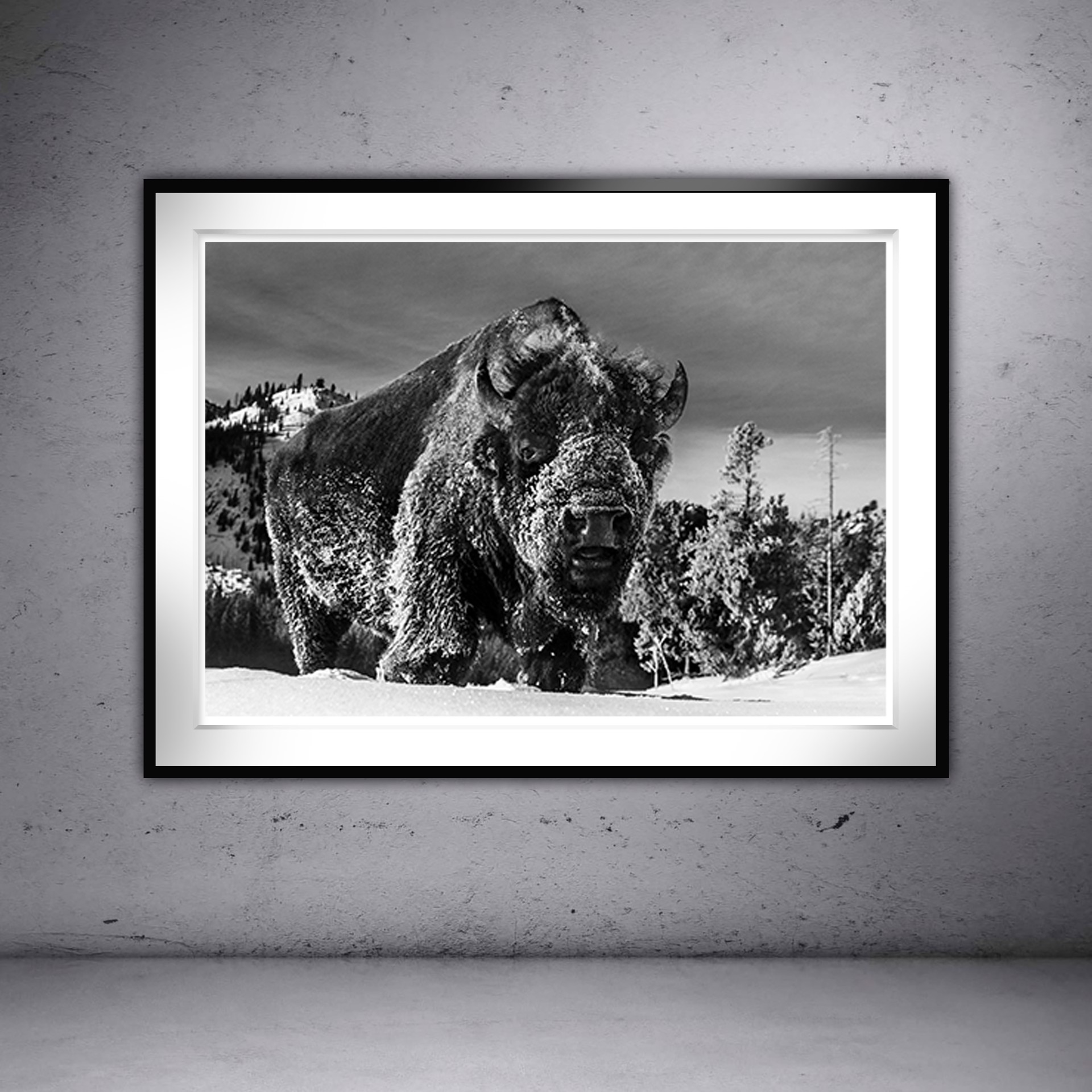 The Beast Of Yellowstone by David Yarrow