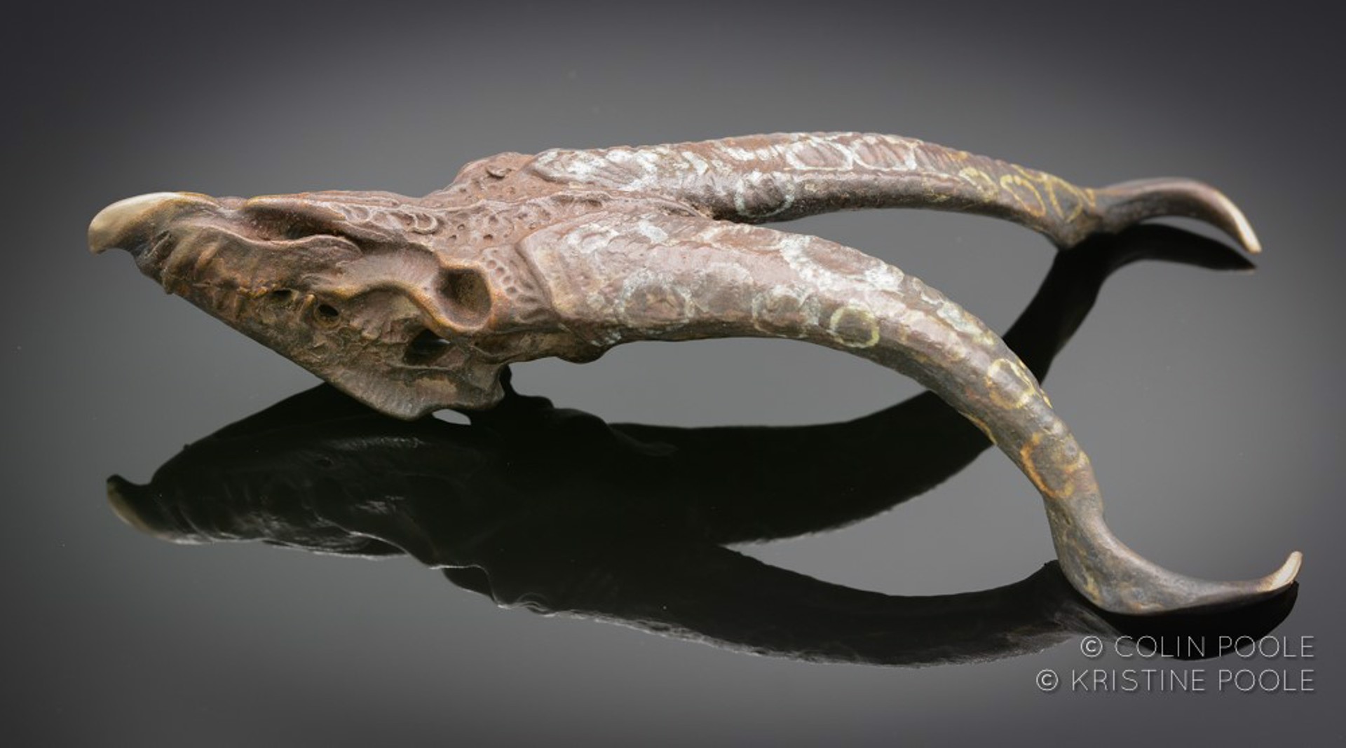 Grand Dragon Talisman Skull by Colin & Kristine Poole