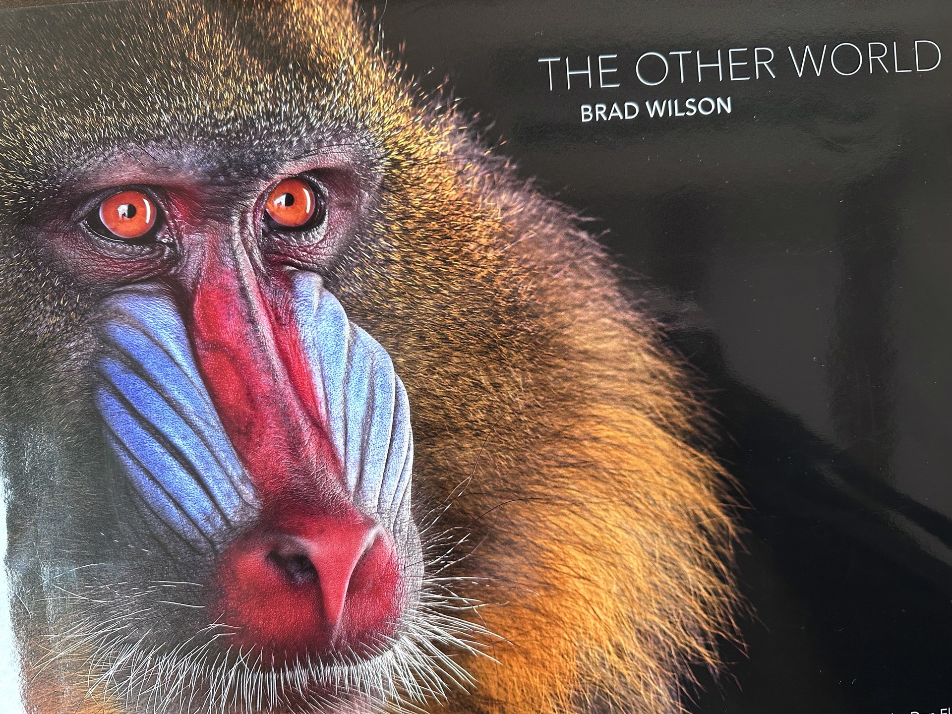 The Other World- Book by Brad Wilson