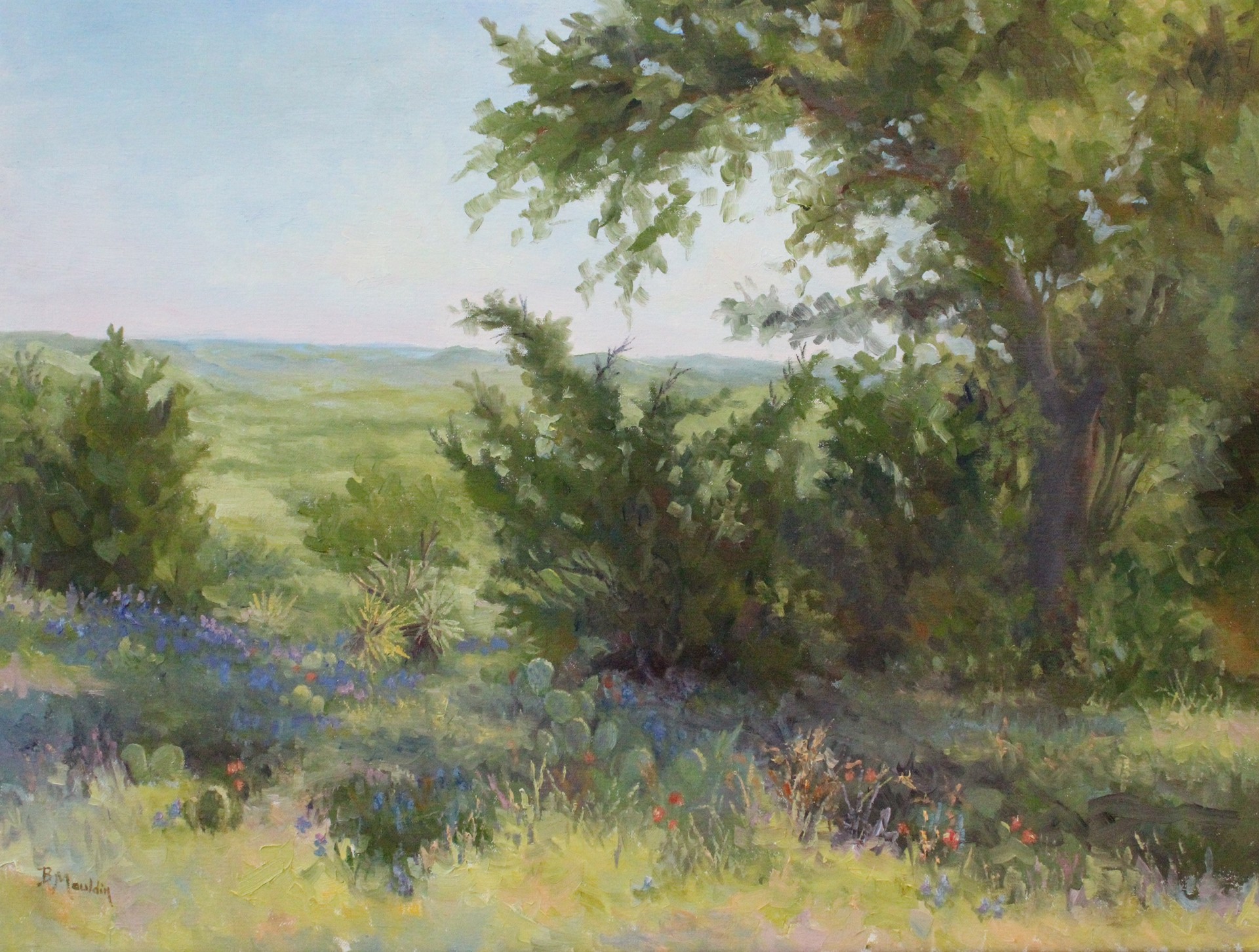 Hilltop View by Barbara Mauldin