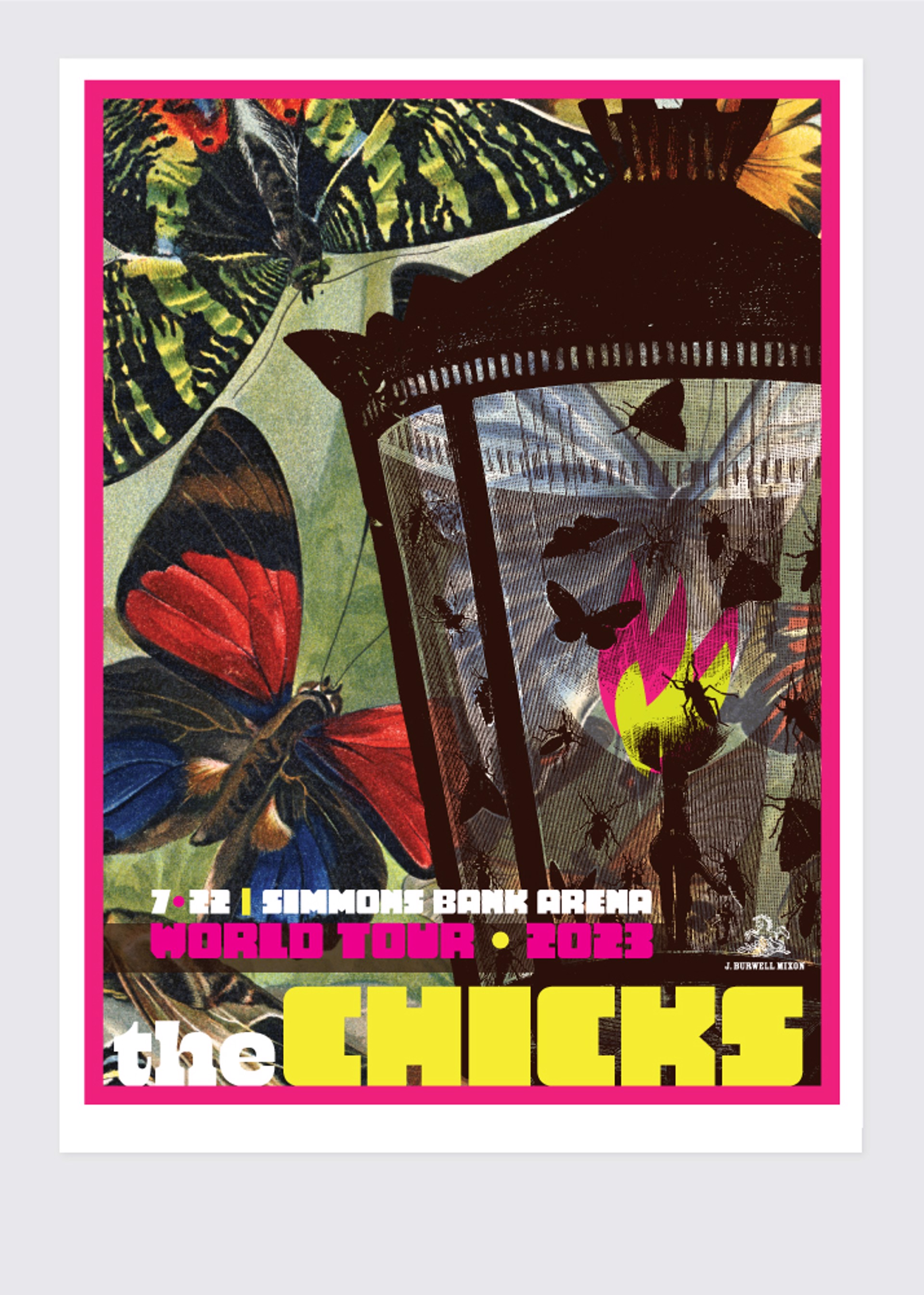 The Chicks by Jamie Burwell Mixon