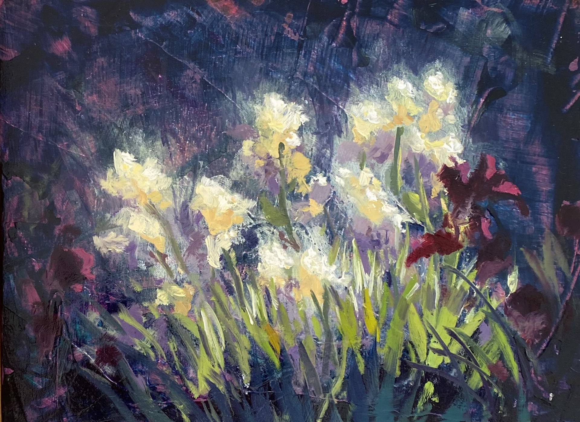 White & Purple Irises by Christopher Clark