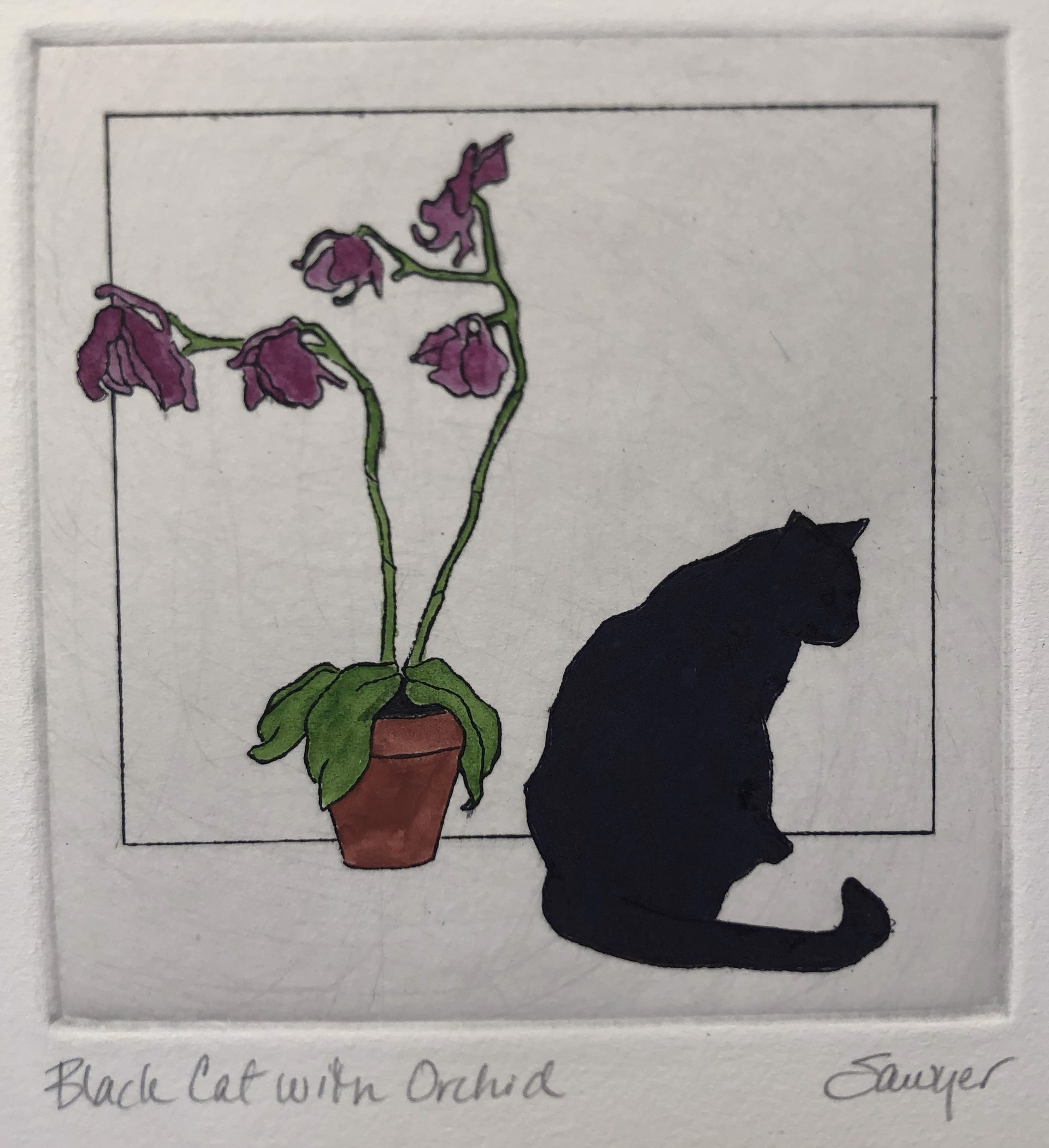 Black Cat with Orchid (unframed) by Anne Sawyer