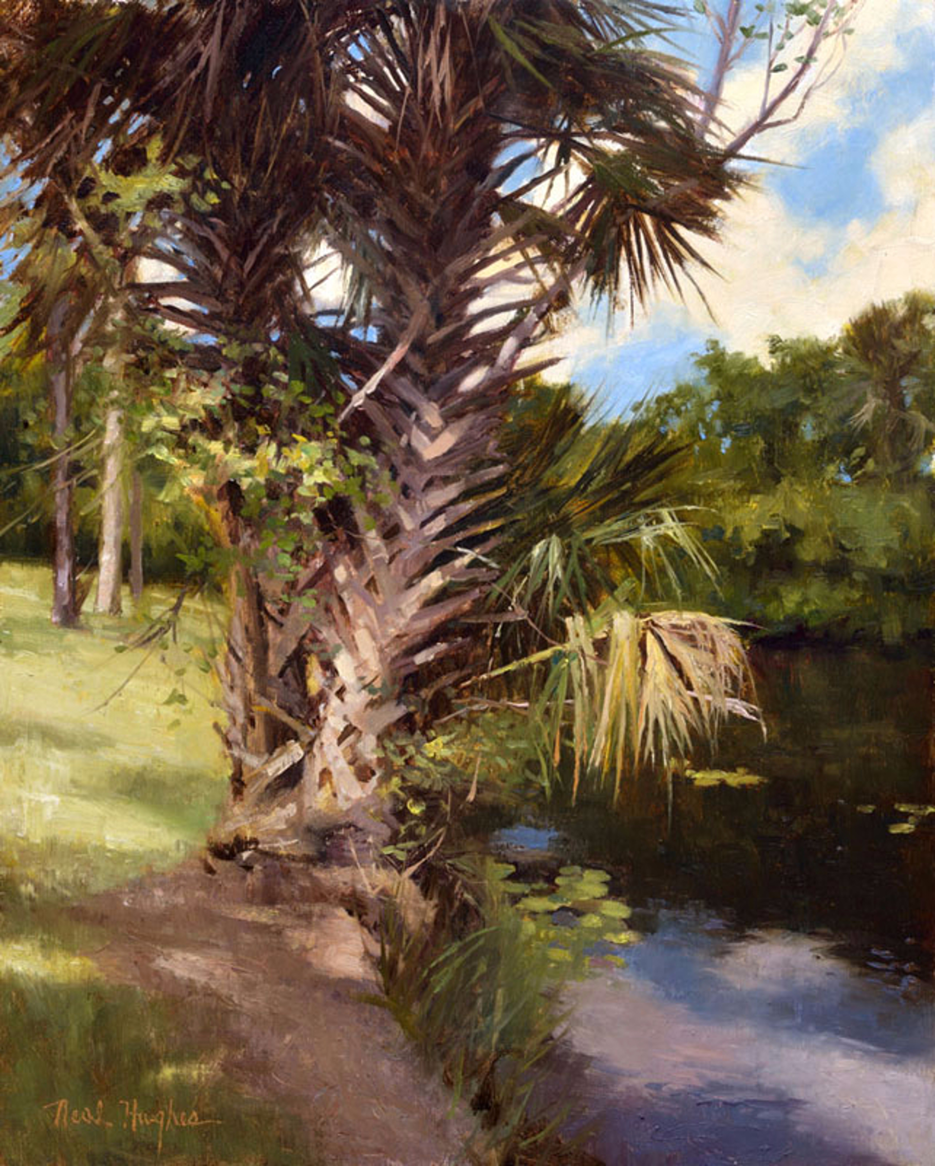 River Palm by Neal Hughes