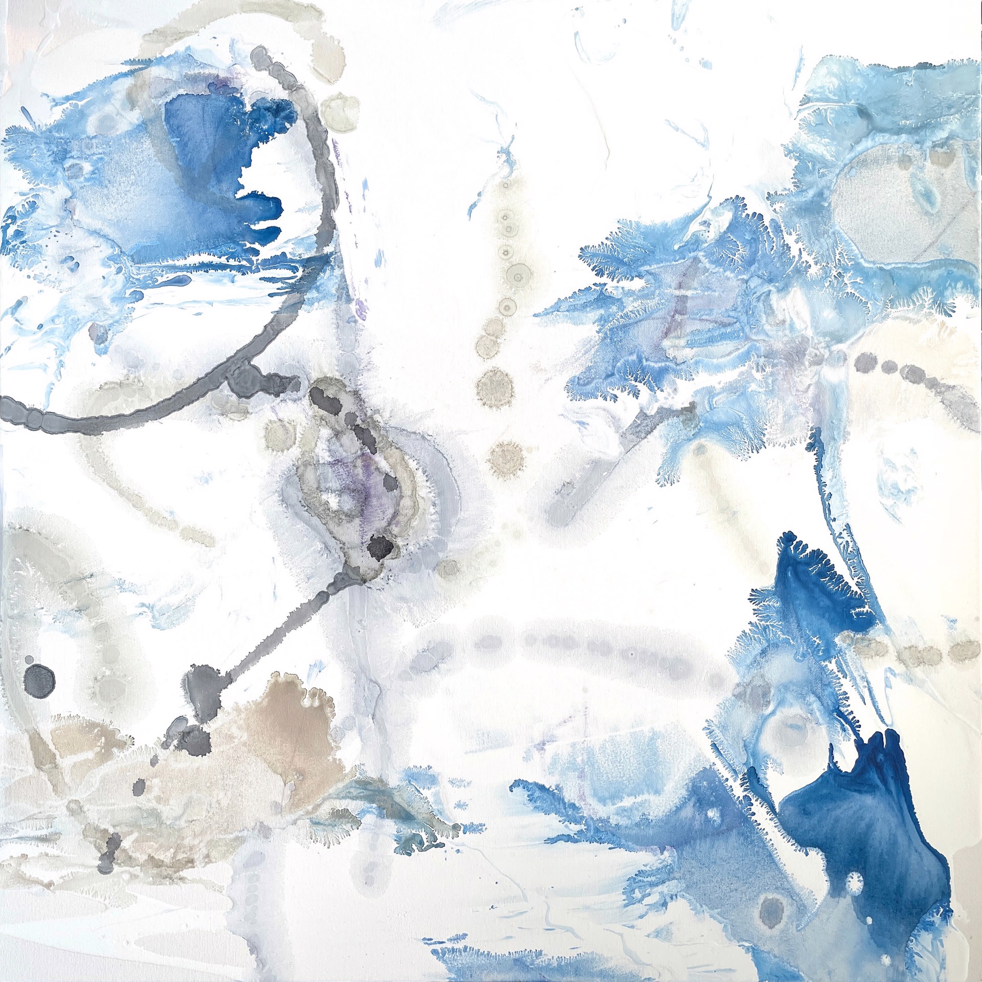 Blue Petals 1 by Liz Barber