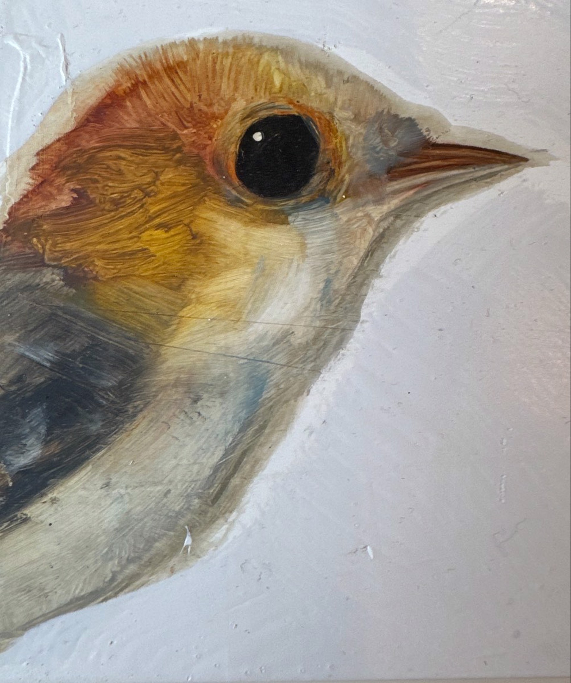 Bird Block (gray wing) by Diane Kilgore Condon