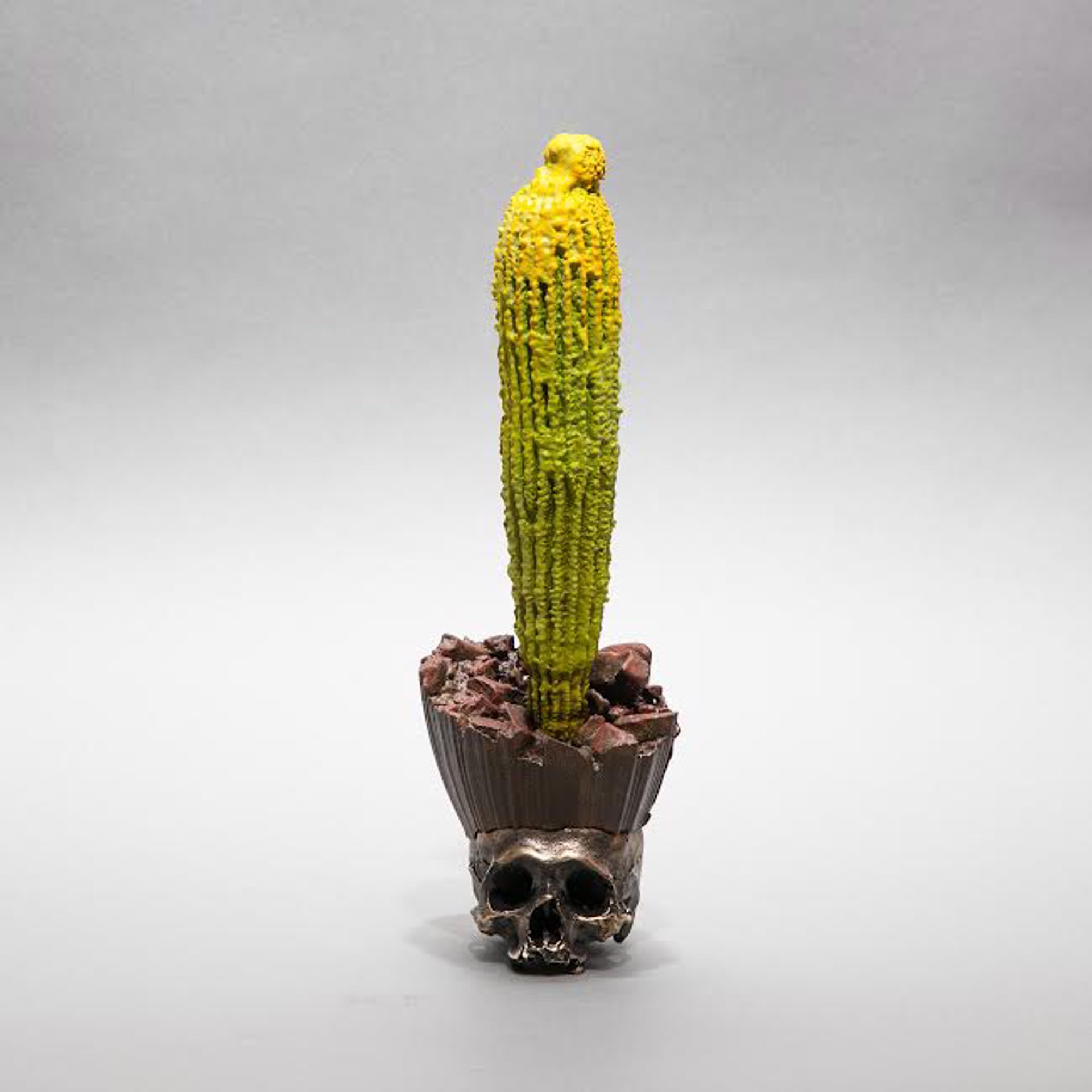 "Cactus Skull 6" by Dana Younger
