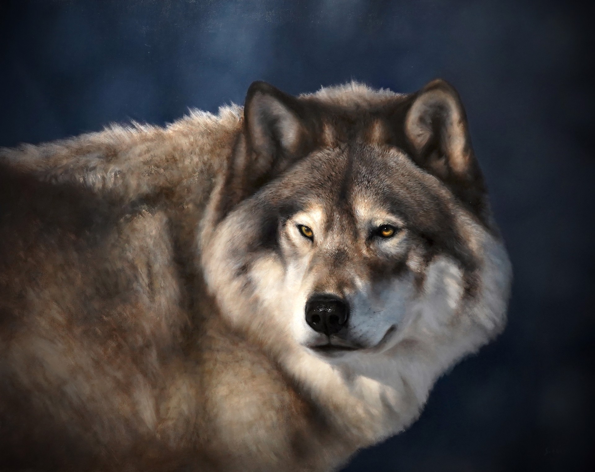 Original Oil Painting By George Hill Of A Wolf With Dark Blue Background