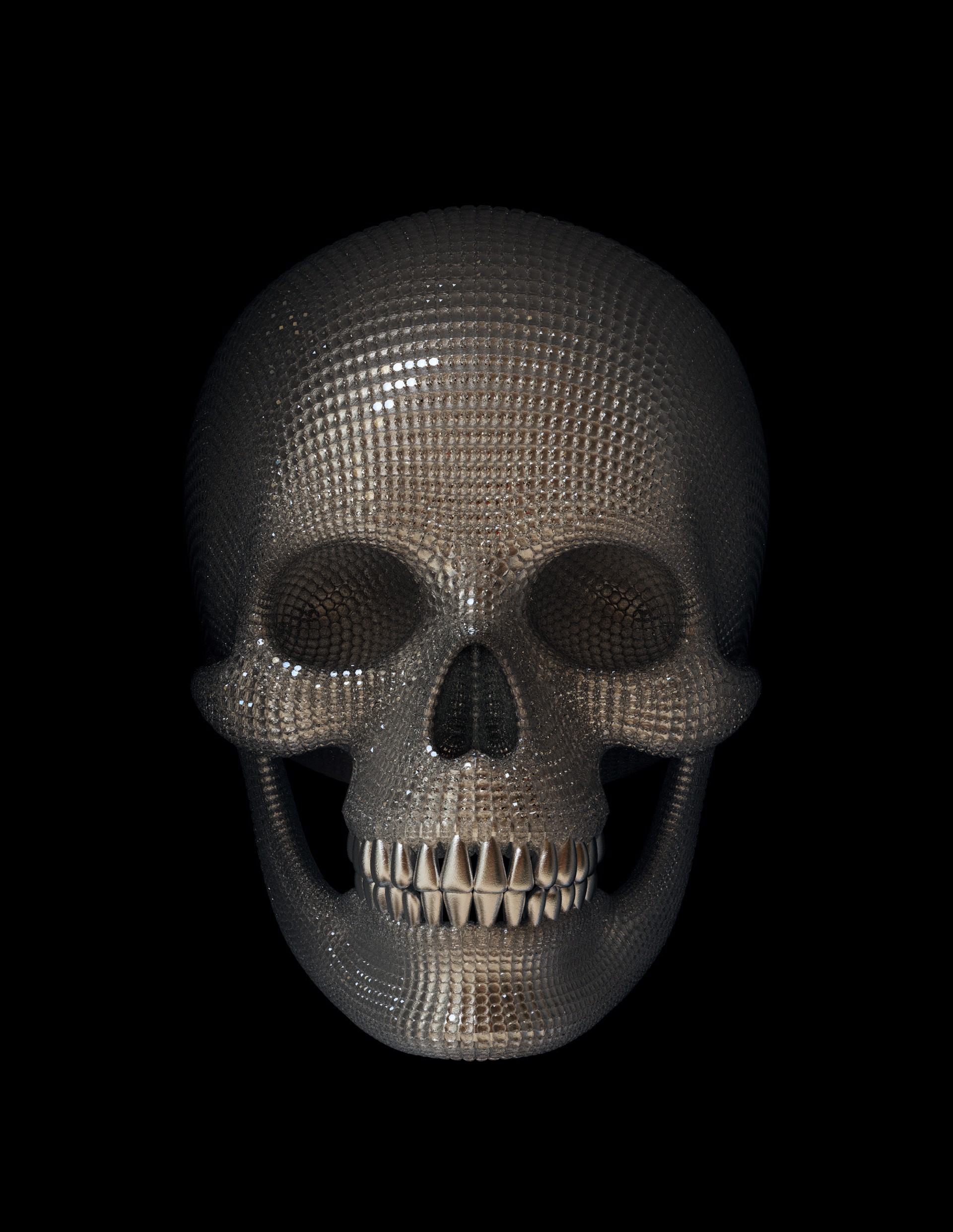 Diamond Skull by Gary James McQueen