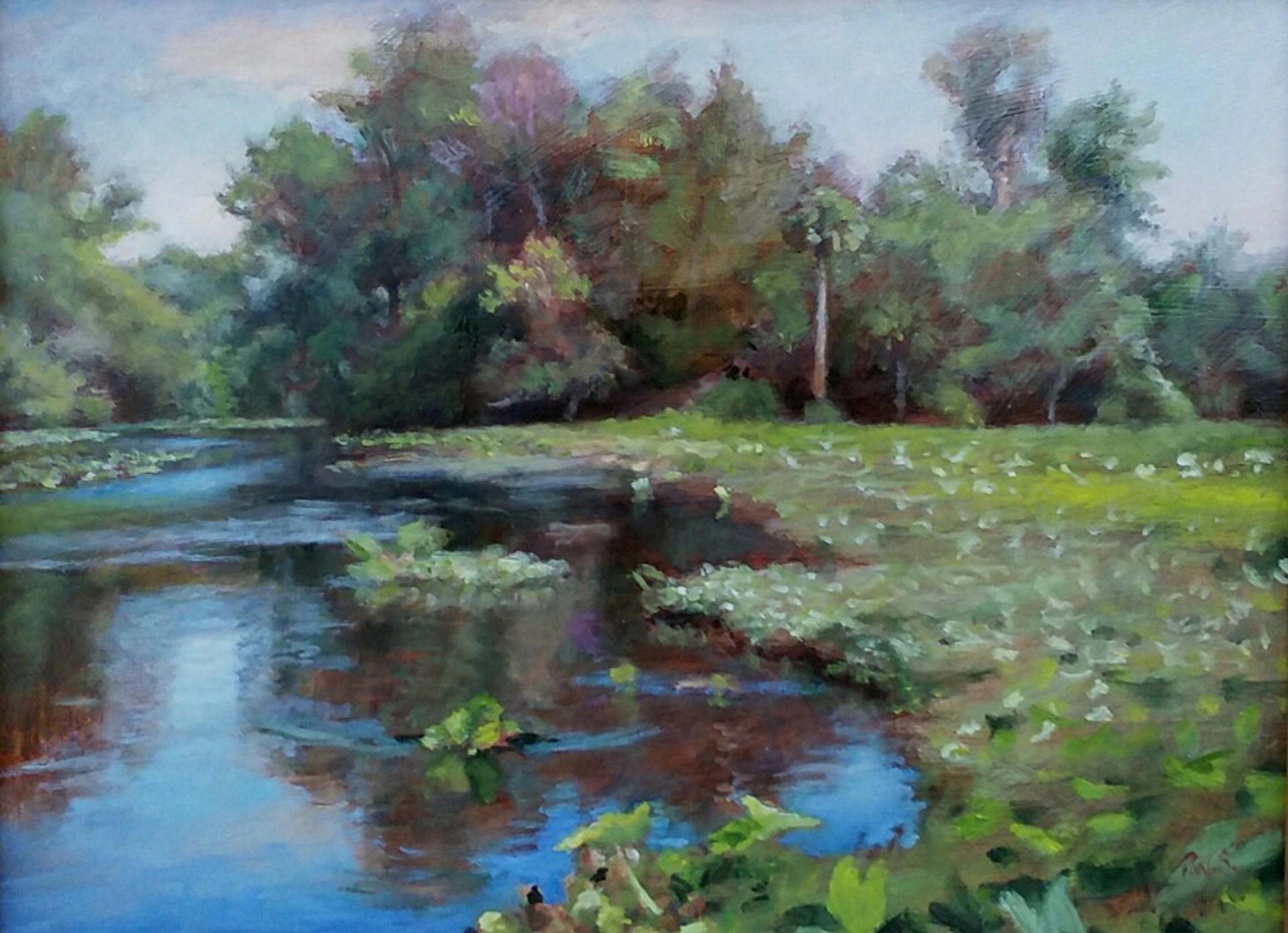 Shell Island - SOLD by Tom Sadler