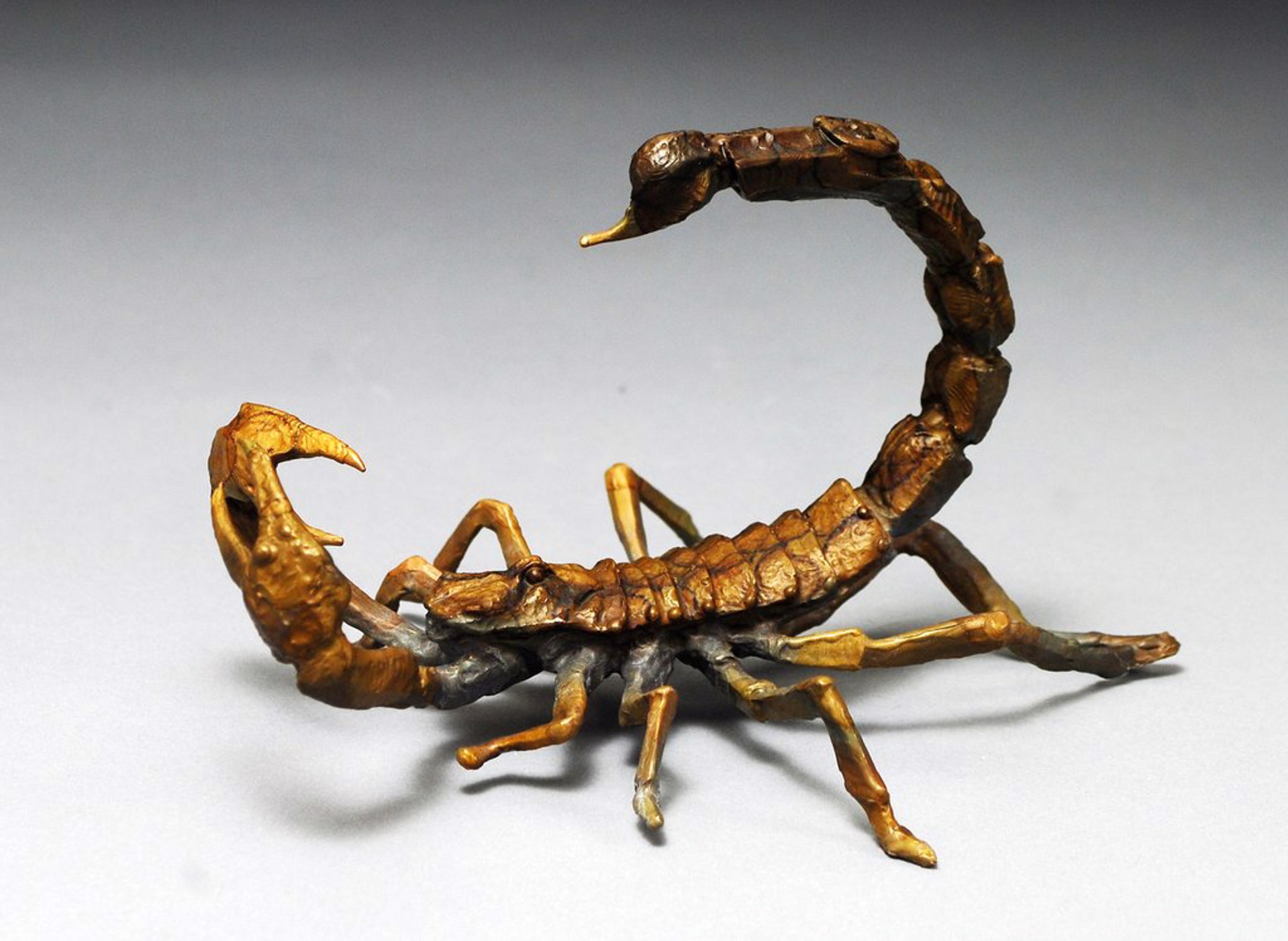 Scorpion by Dan Chen
