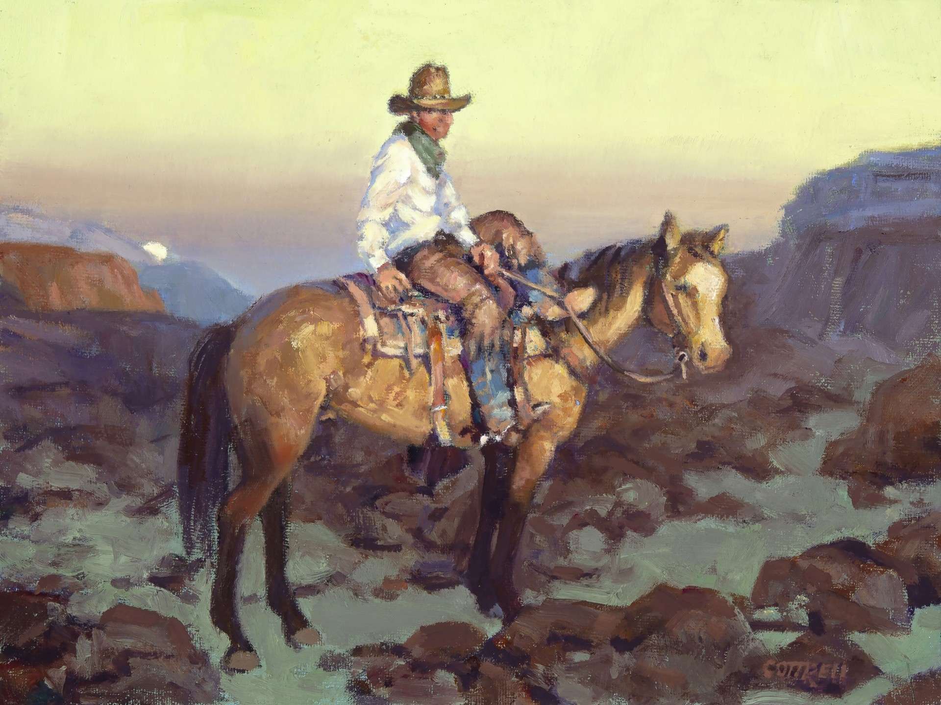 Arizona Cowboy by Sheila Cottrell