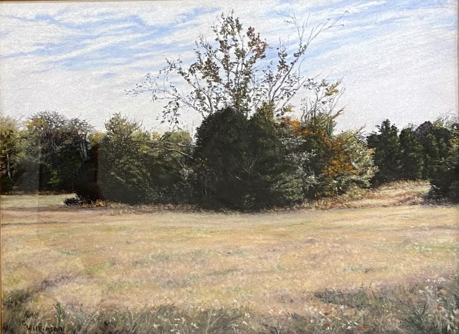 Autumn Grove by Claude Wilkinson