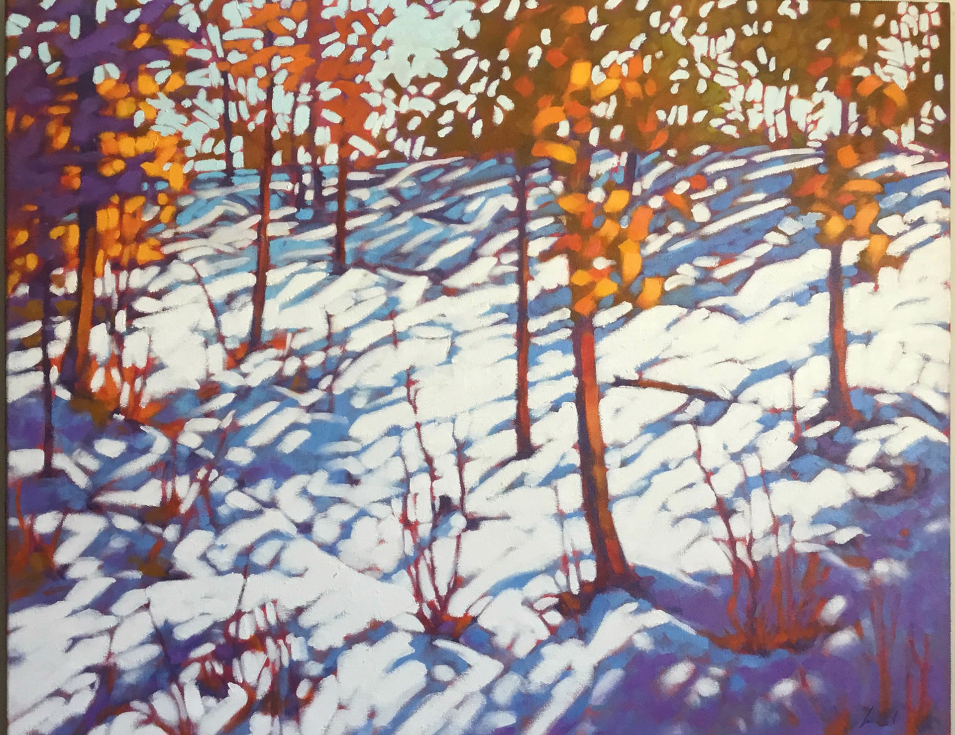 Hillside and Snow by John Lennard