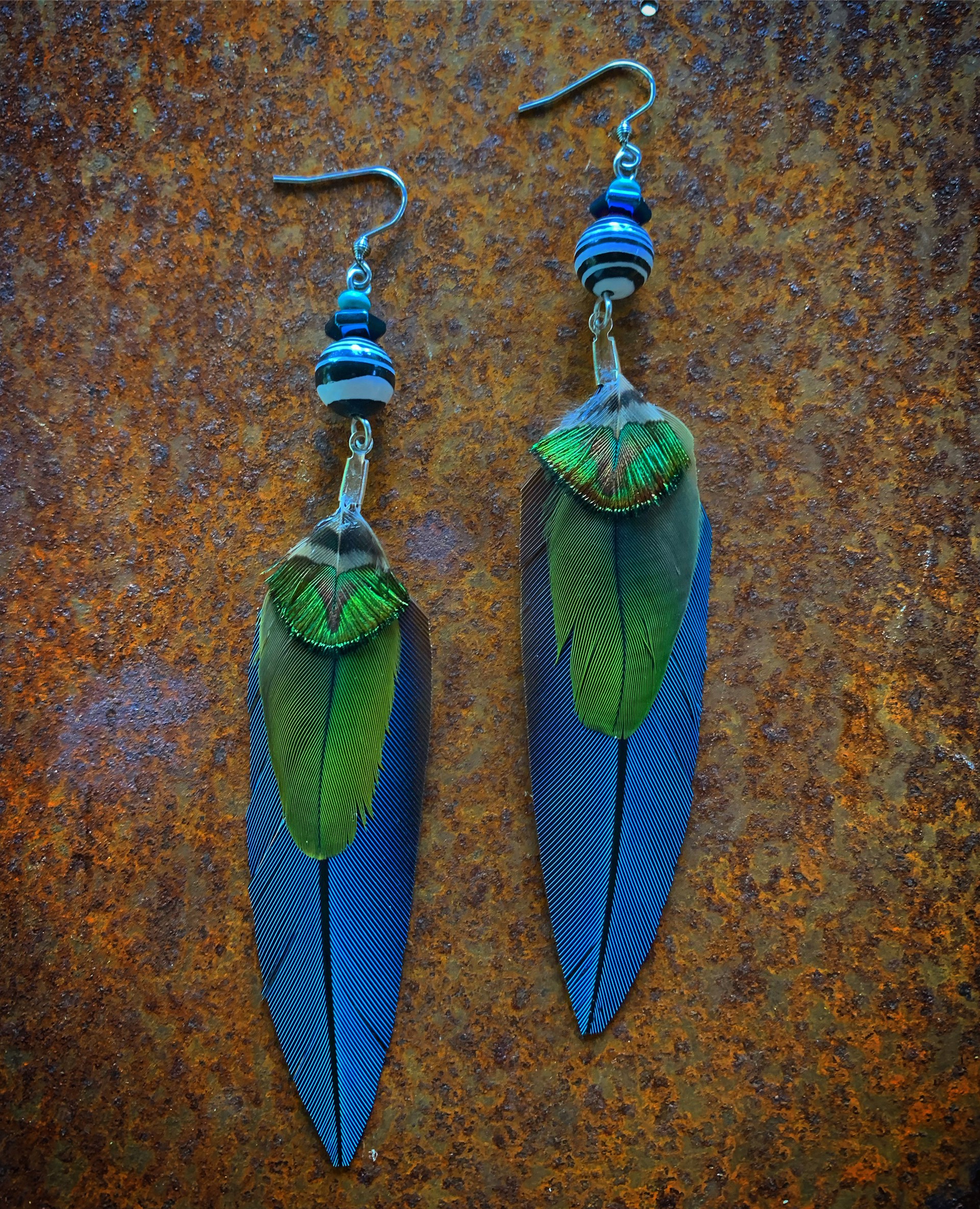 K673 Ethically Sourced Parrot Earrings by Kelly Ormsby