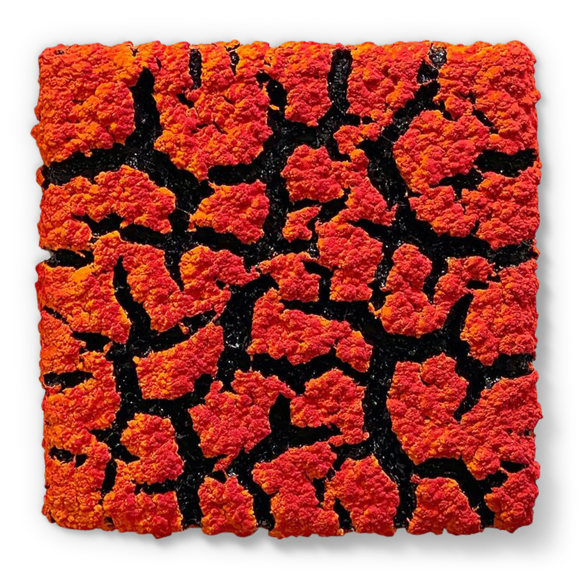 Orange and Red Lichen Wall Piece by Randy O'Brien