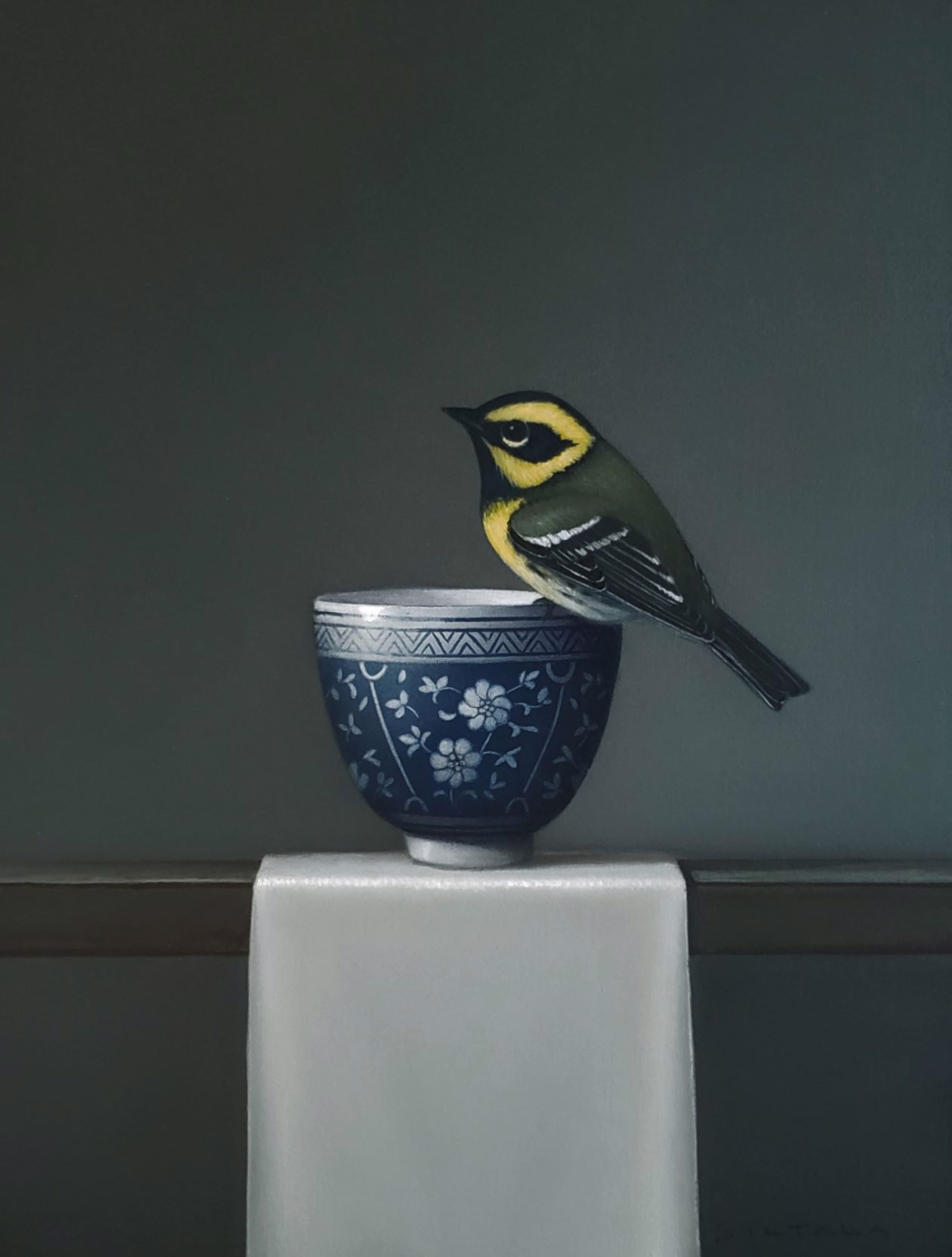 Still Life with Townsend's Warbler by Sarah Siltala