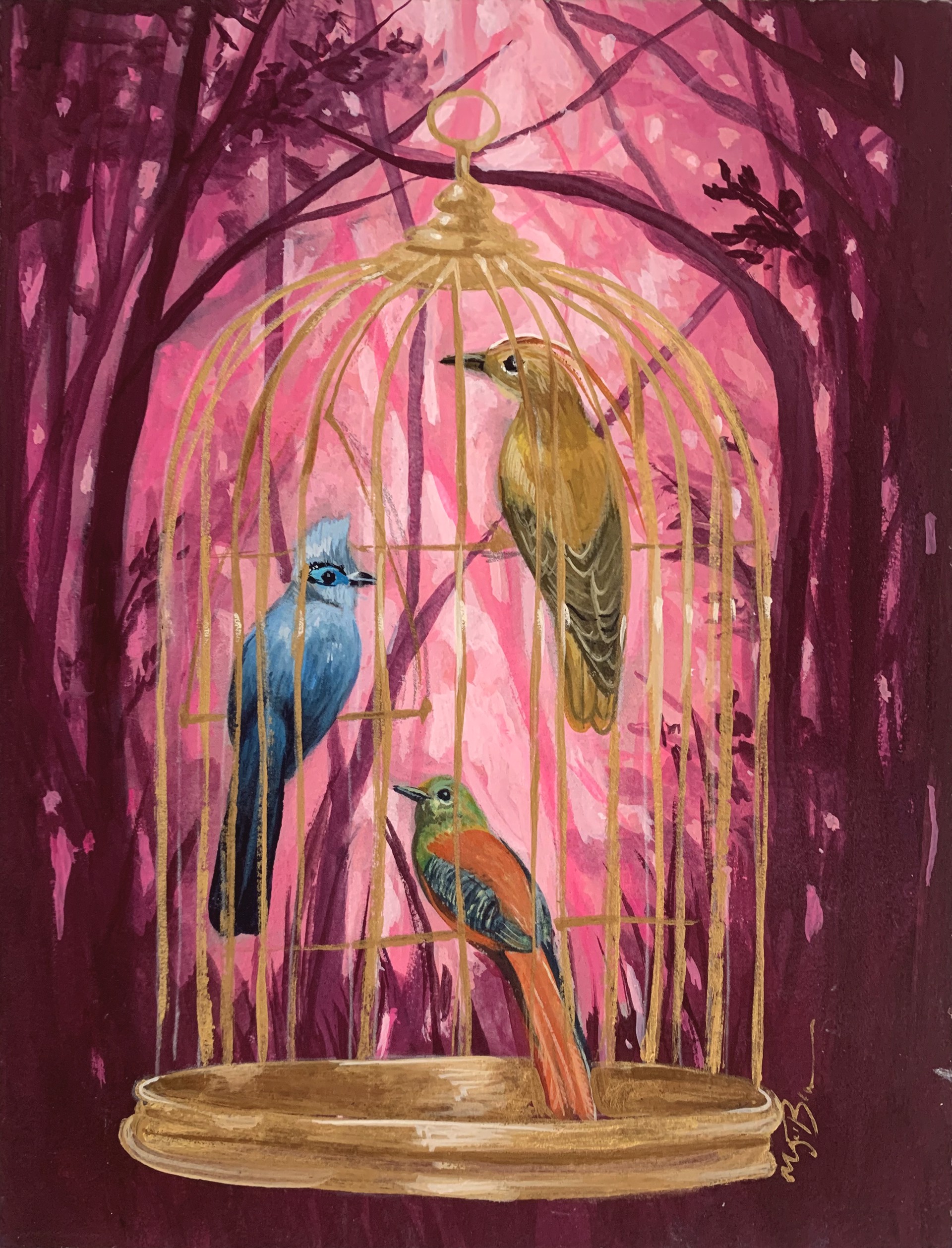 Birdcage Series by Megan Buccere