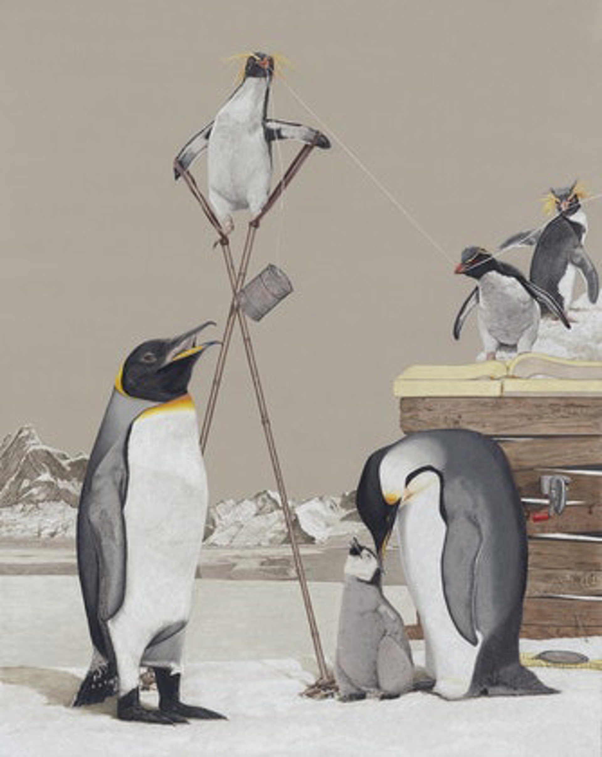 Four Calling Birds - Penguins Giclee print by Paul Van Heest