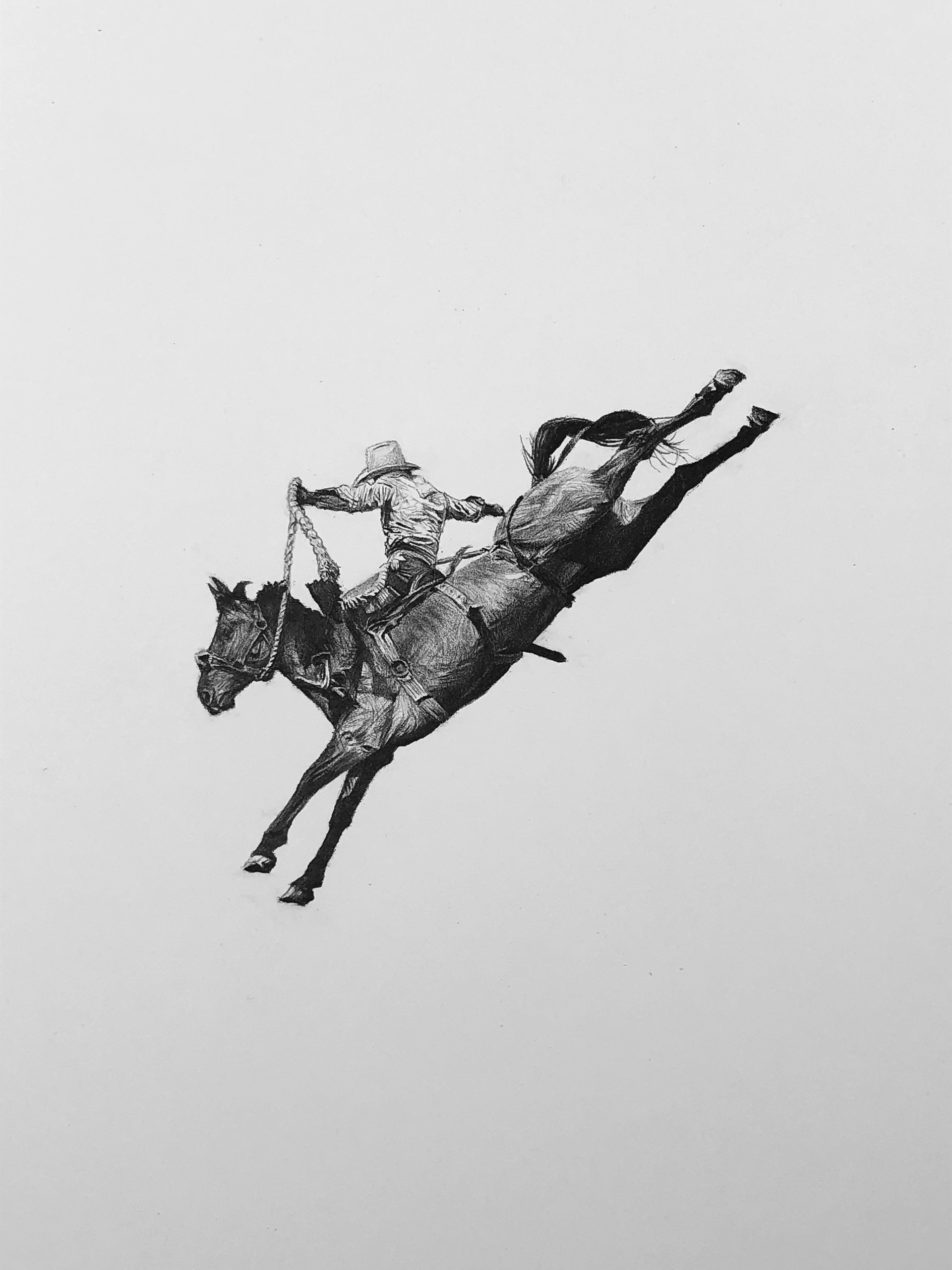 untitled (bronc rider) by Clayton Porter