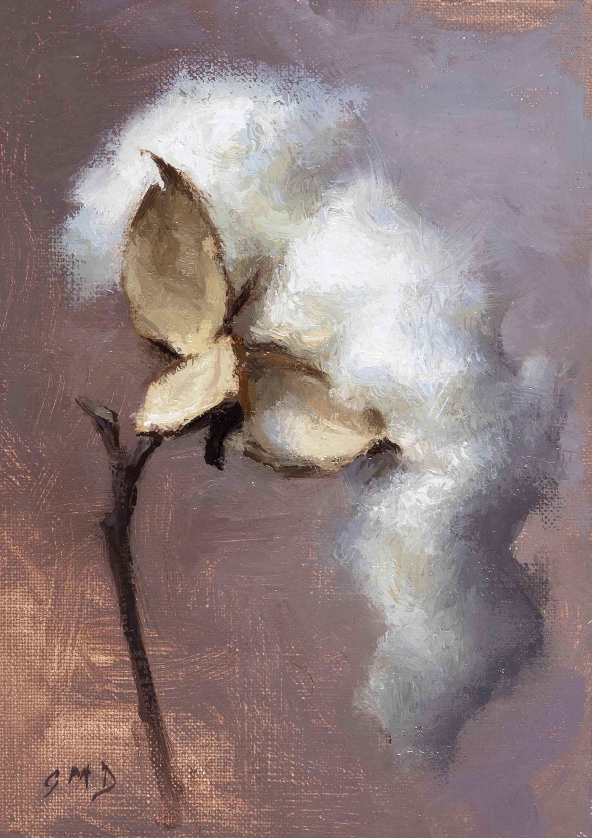 Cotton Pod with Violet Background I by Grace DeVito