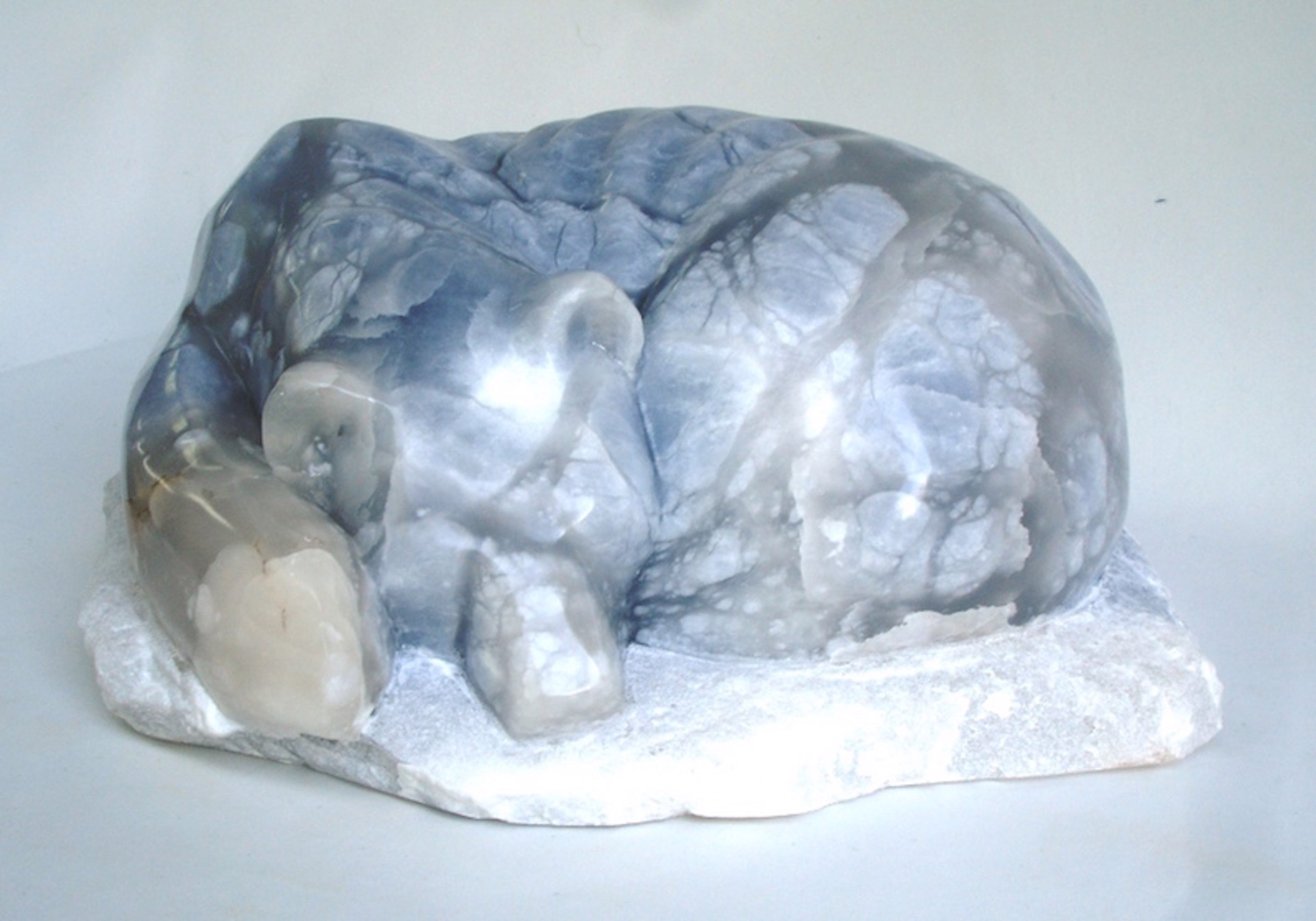 Glacier Bear (Sleeper) by Roy Hinz