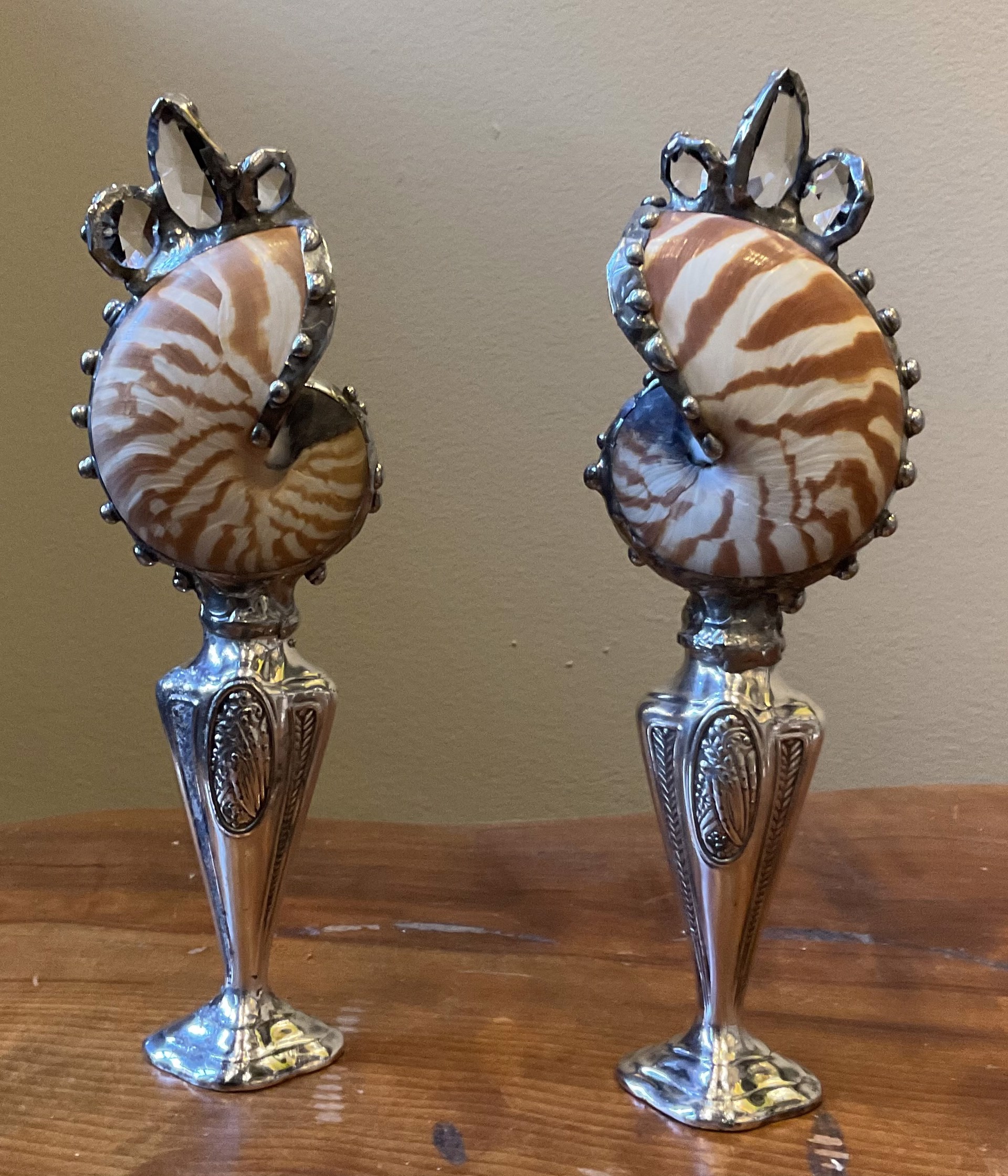 Tiger Nautilus Antique Salt & Pepper Shakers by Trinka 5 Designs