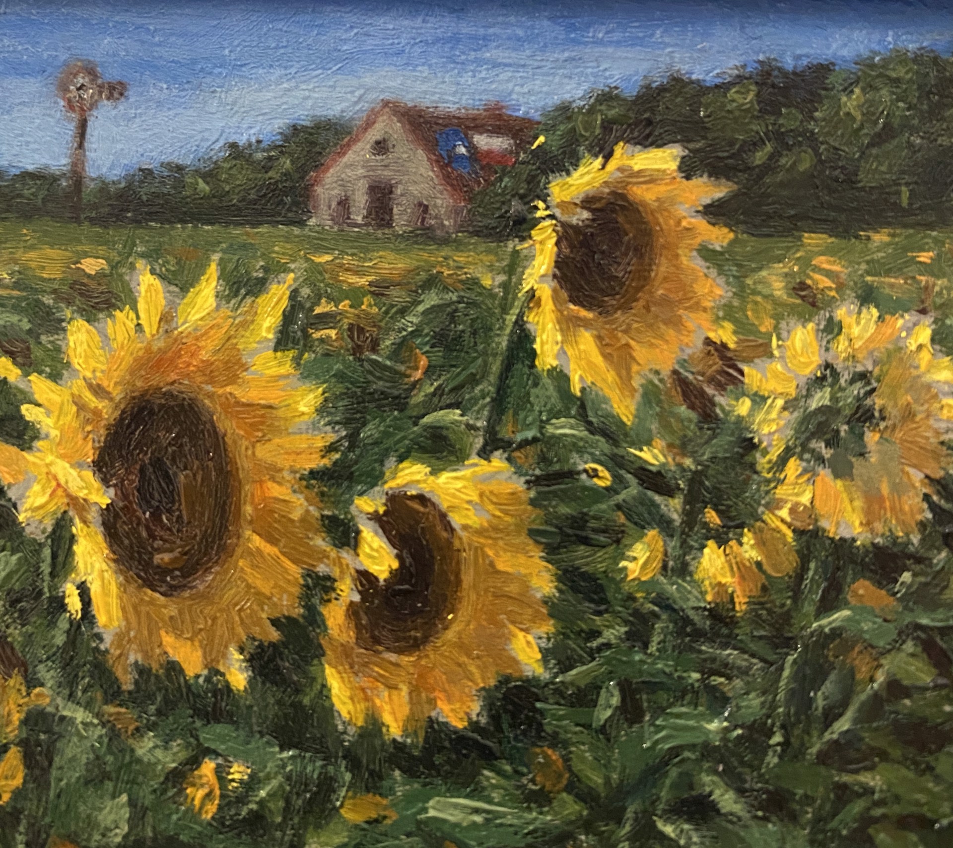 Sunflowers by Ben Xu