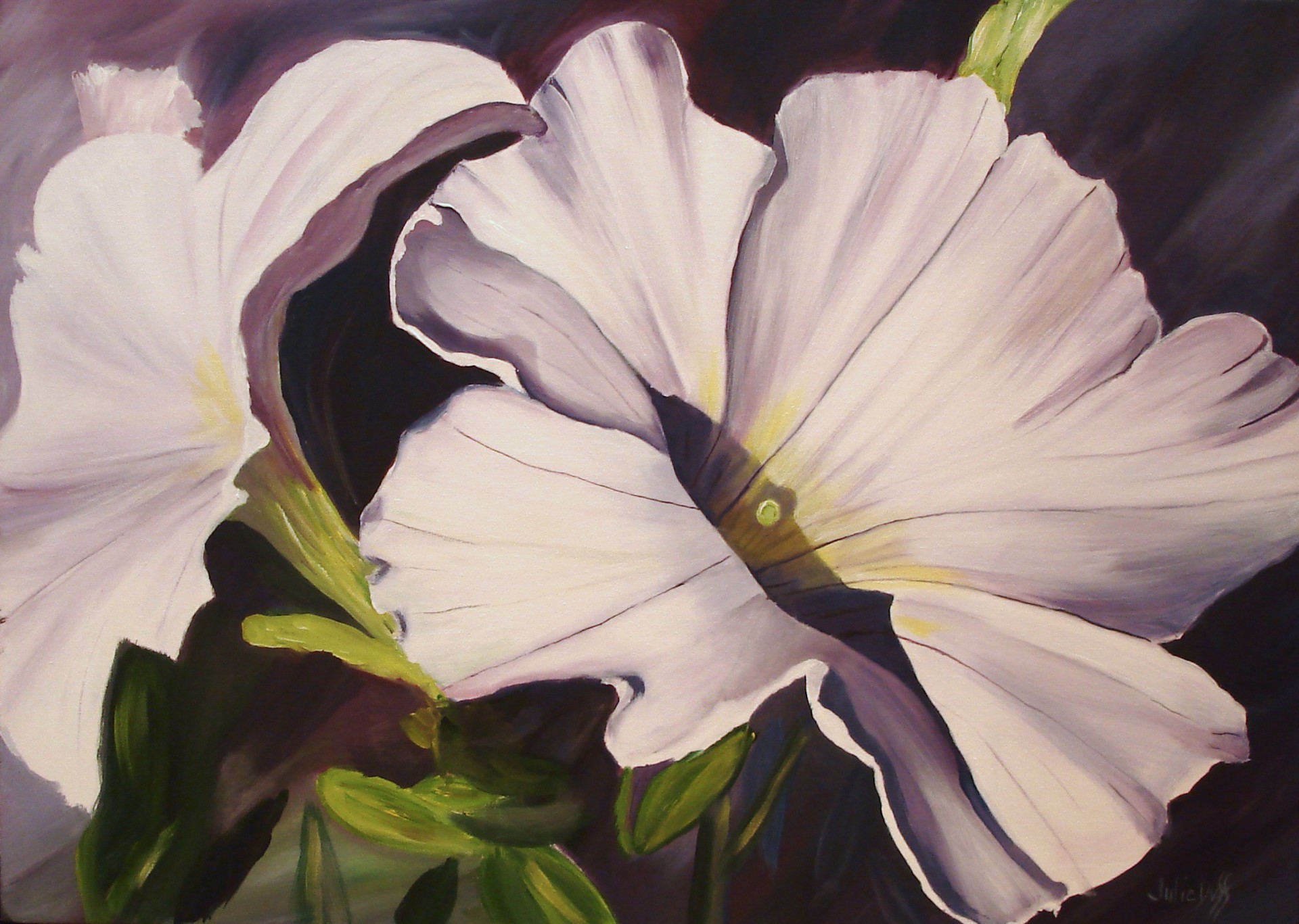 Petunia Passion by Julie Duff