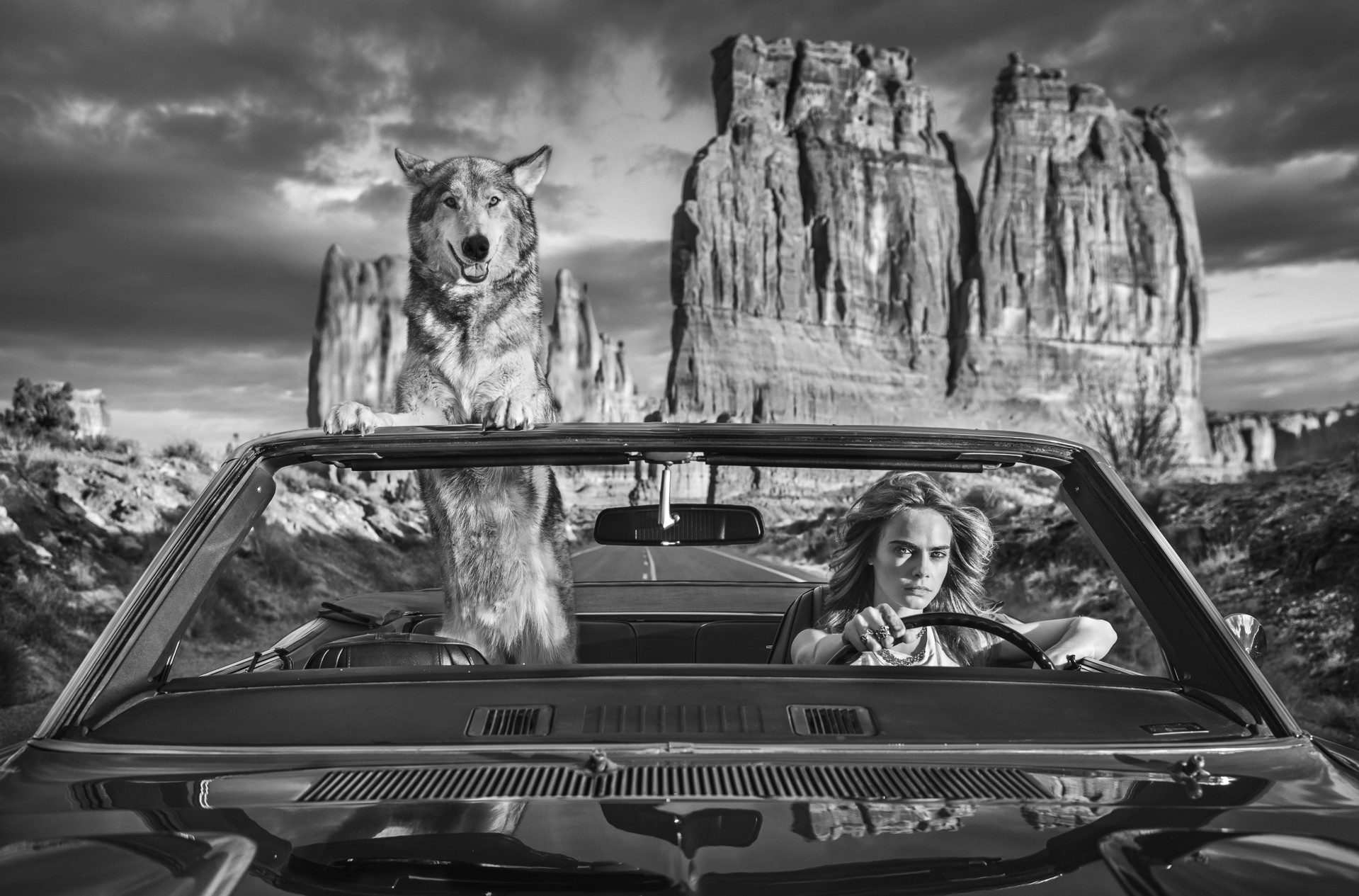Drive by David Yarrow