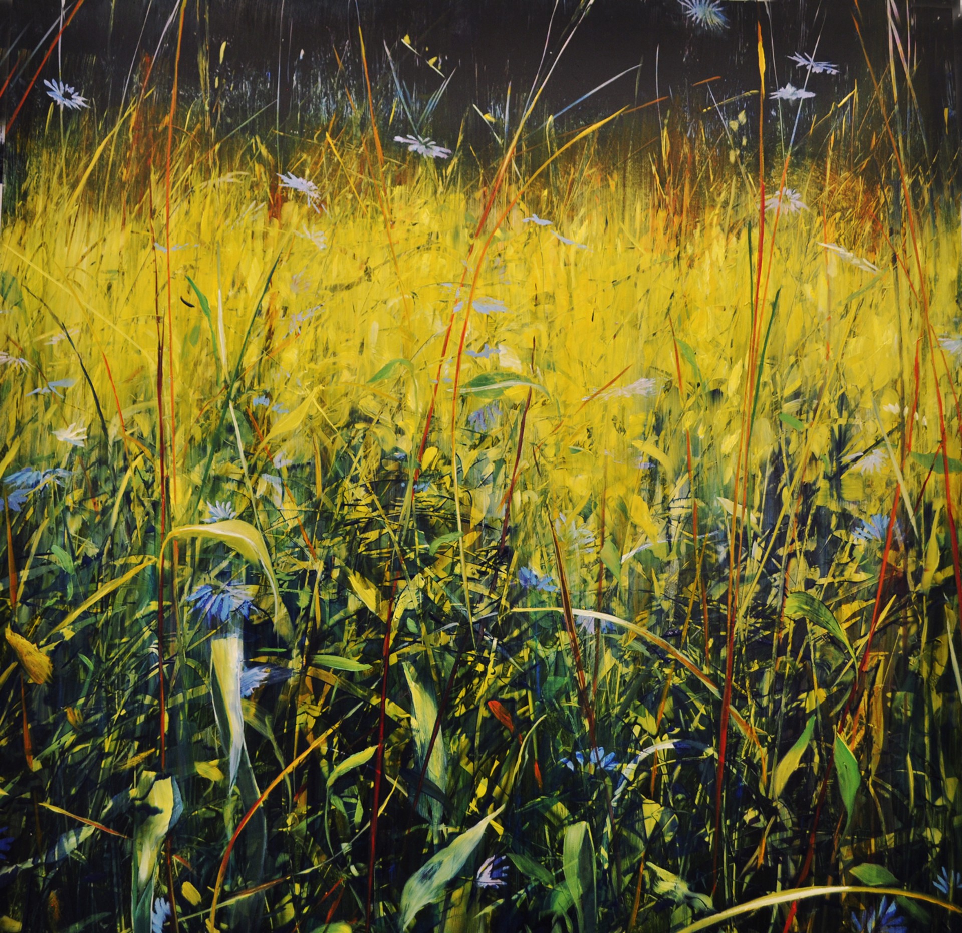 November Meadow by David Dunlop