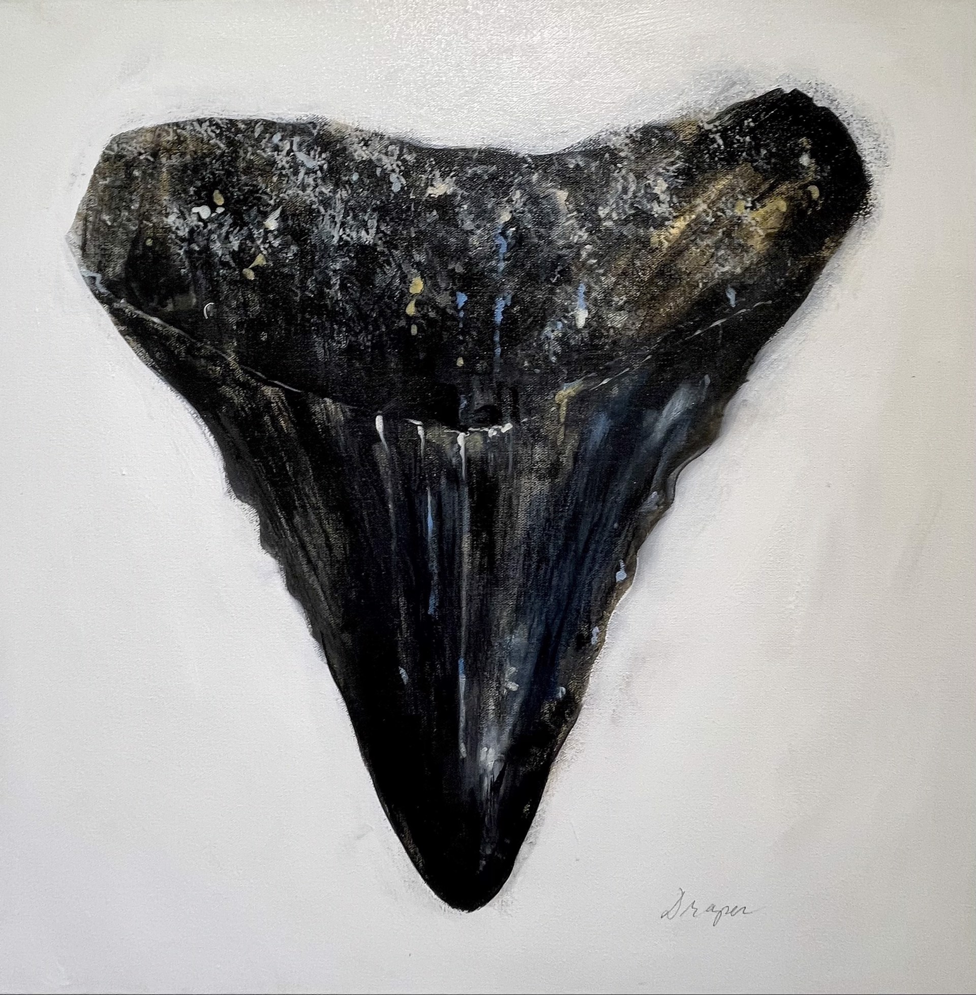 Shark Tooth no. 9 by Jim Draper