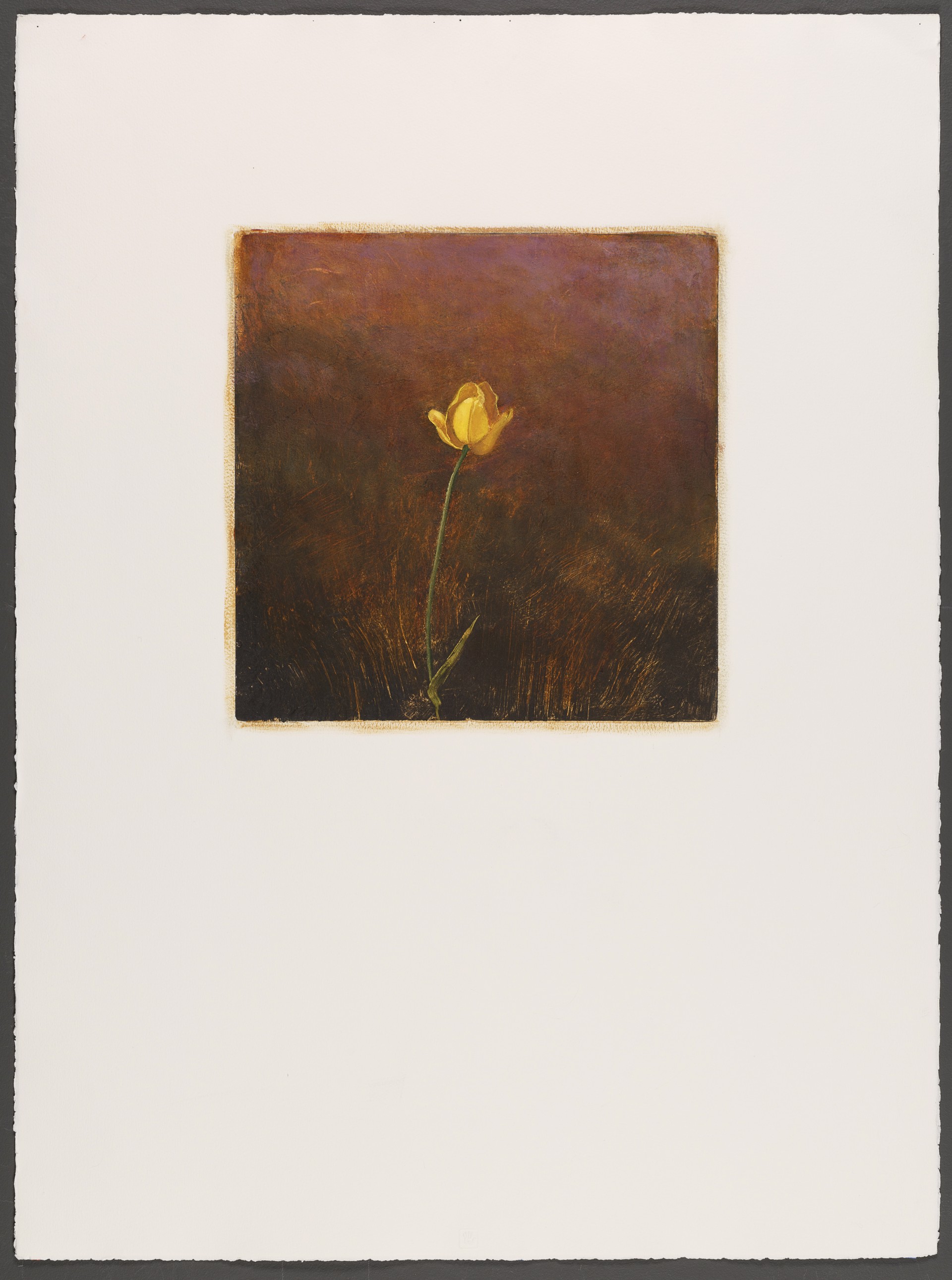 Single Yellow Tulip by Carol Mothner